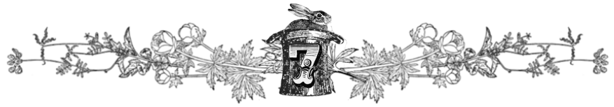 magic seven.png