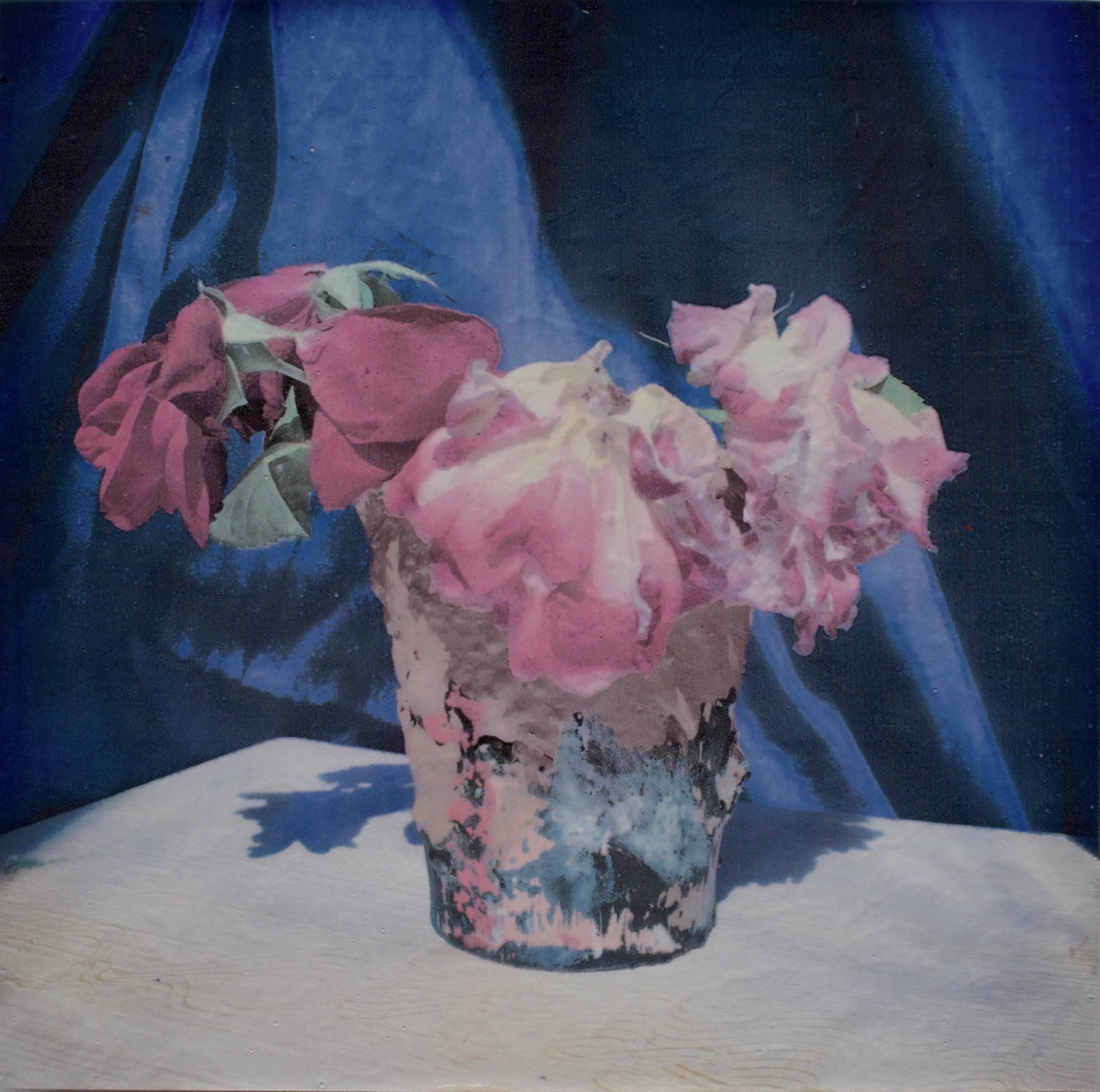 Shroud Rose