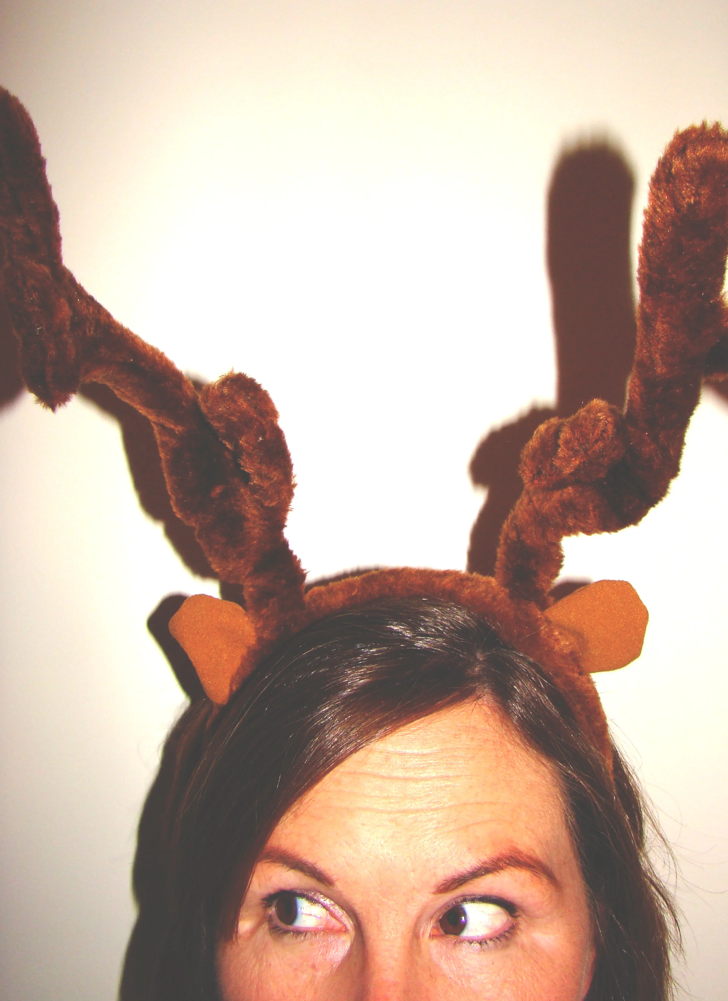 Deer In Headlights
