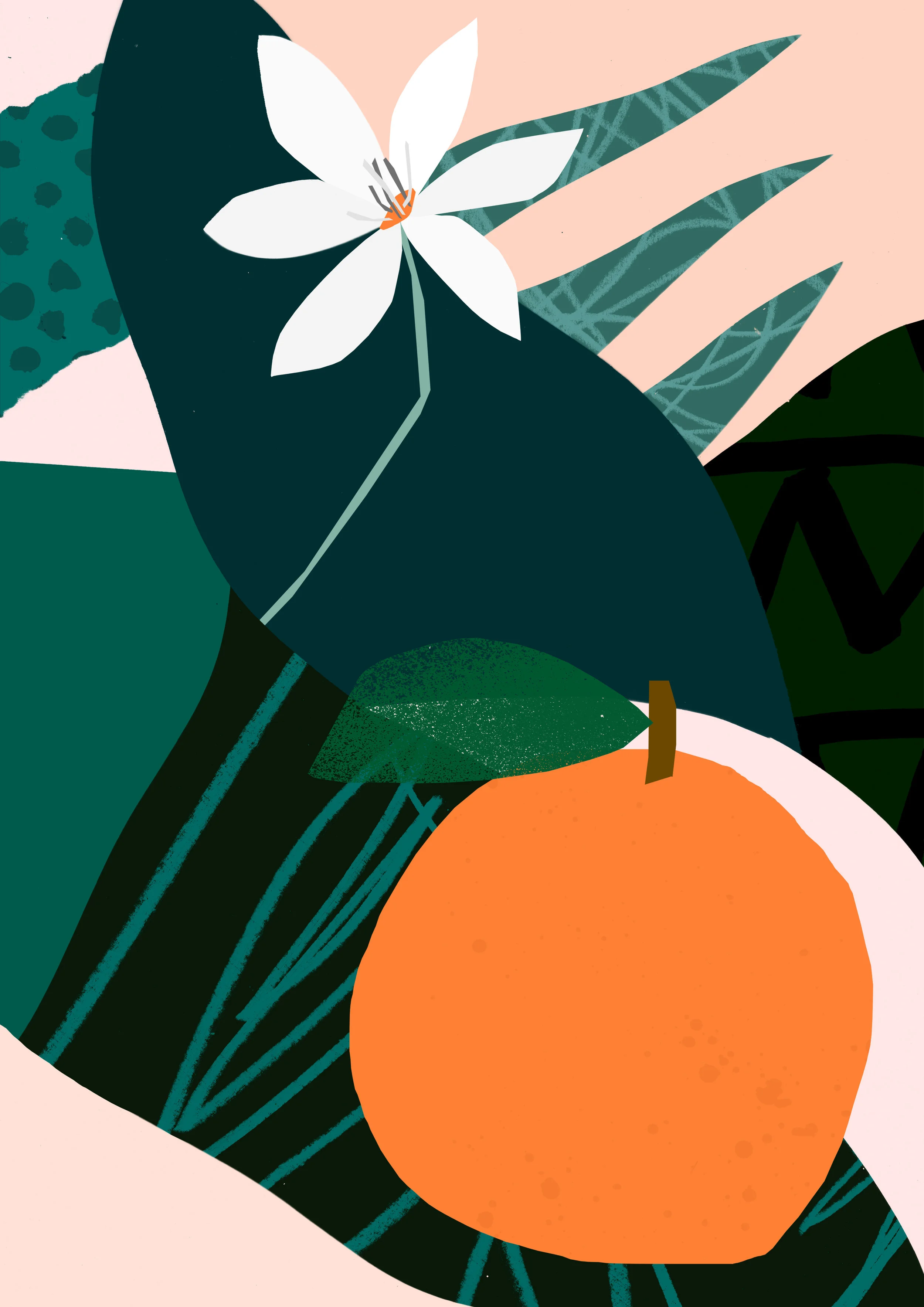 'Orange'  Available to Licence