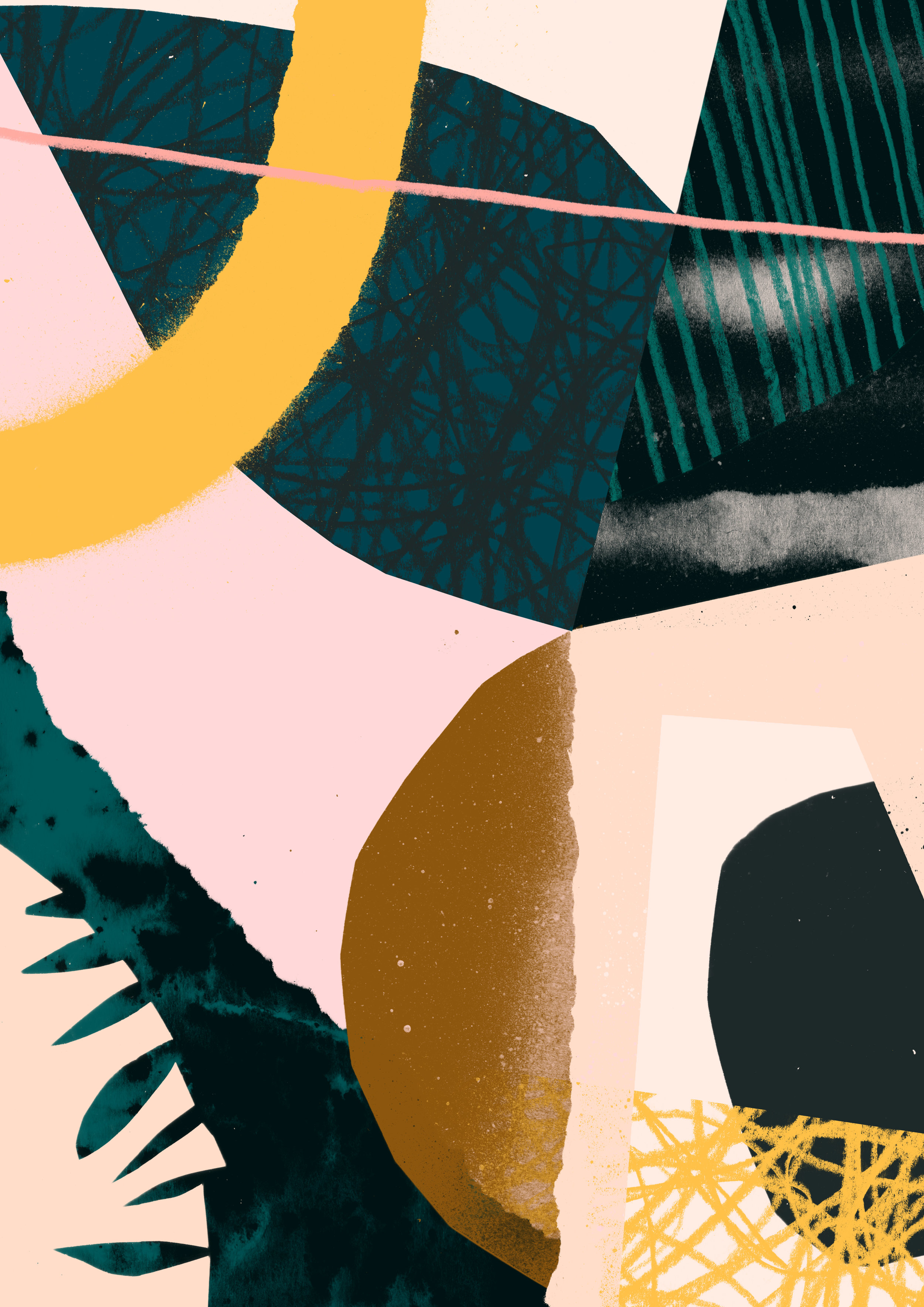 'Musa Valentina'  Available to Licence