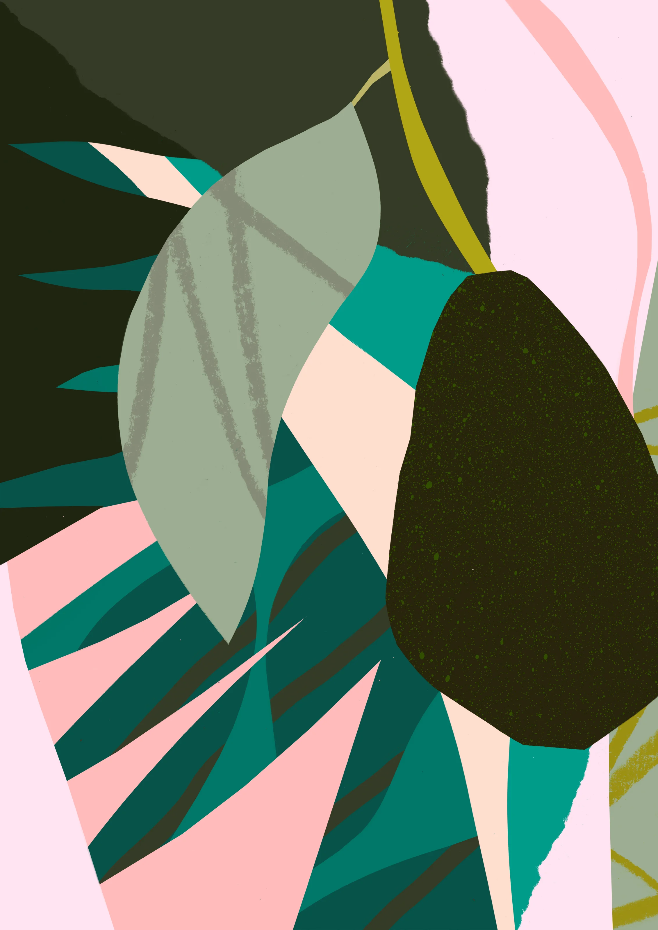 'Avocado'  Available to Licence