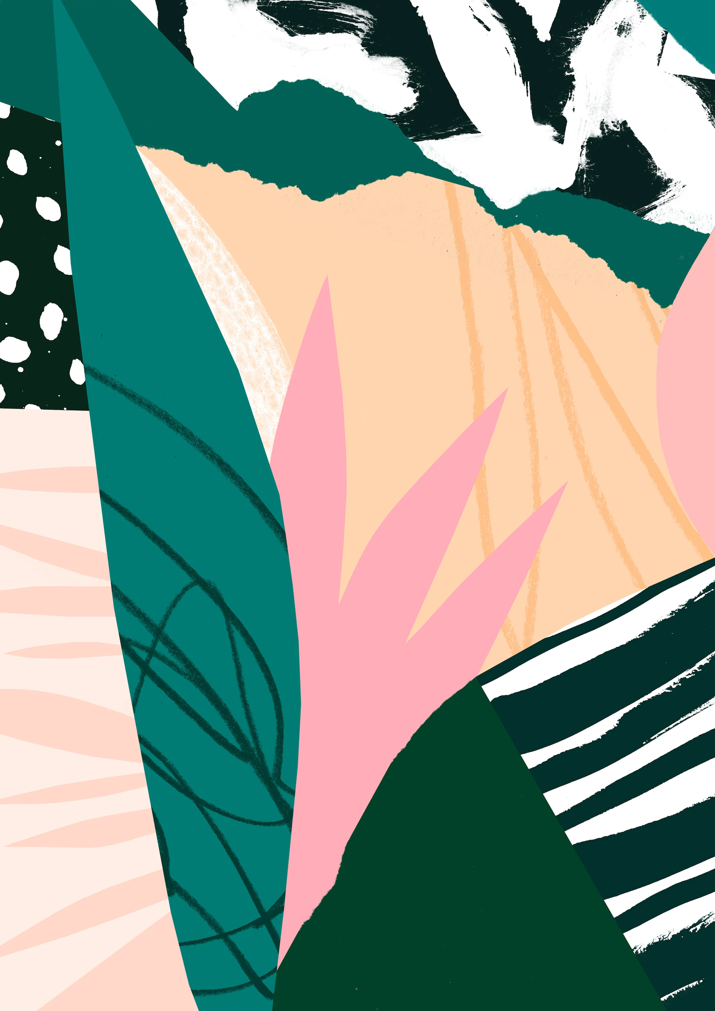 'Dragon Fruit'  Available to Licence