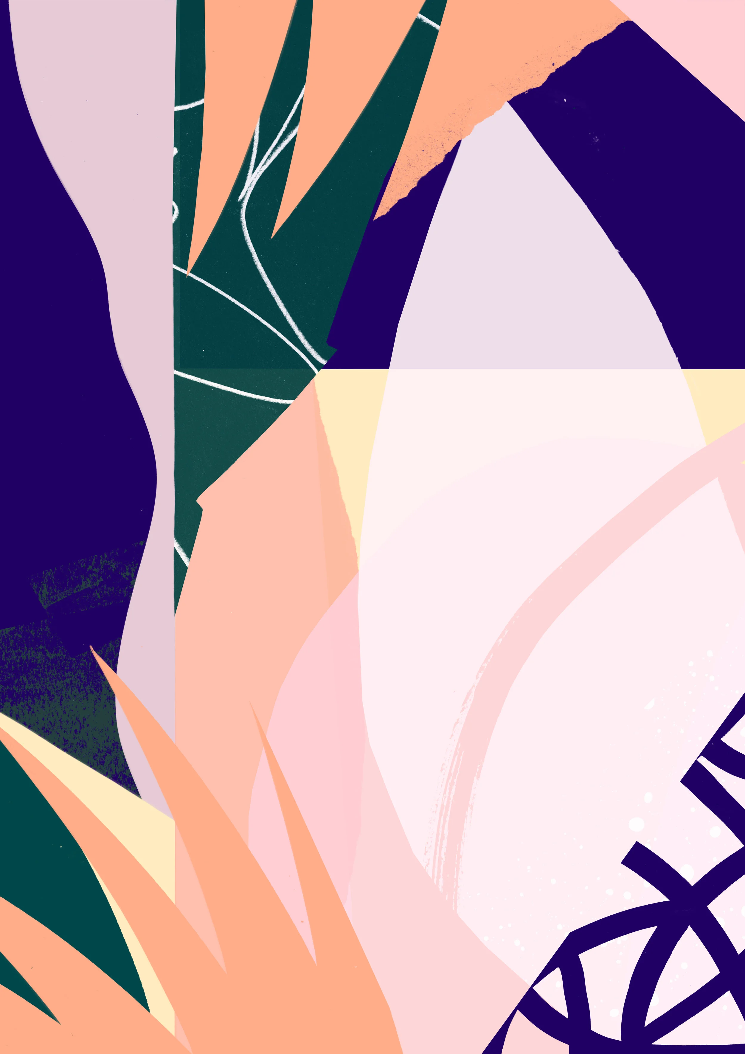 'Wonder'  Available to Licence