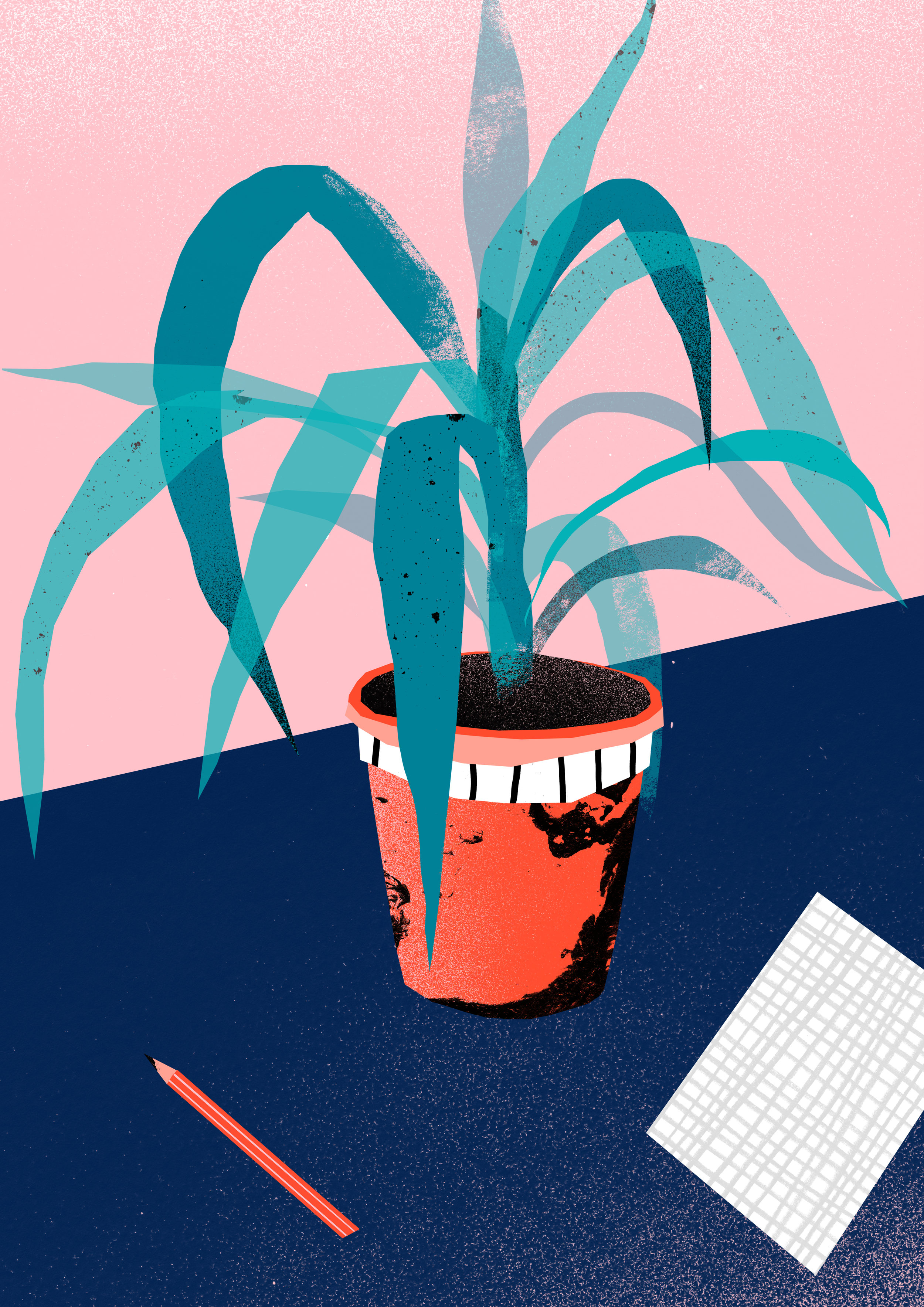 'Studio Essentials'  Available to Licence