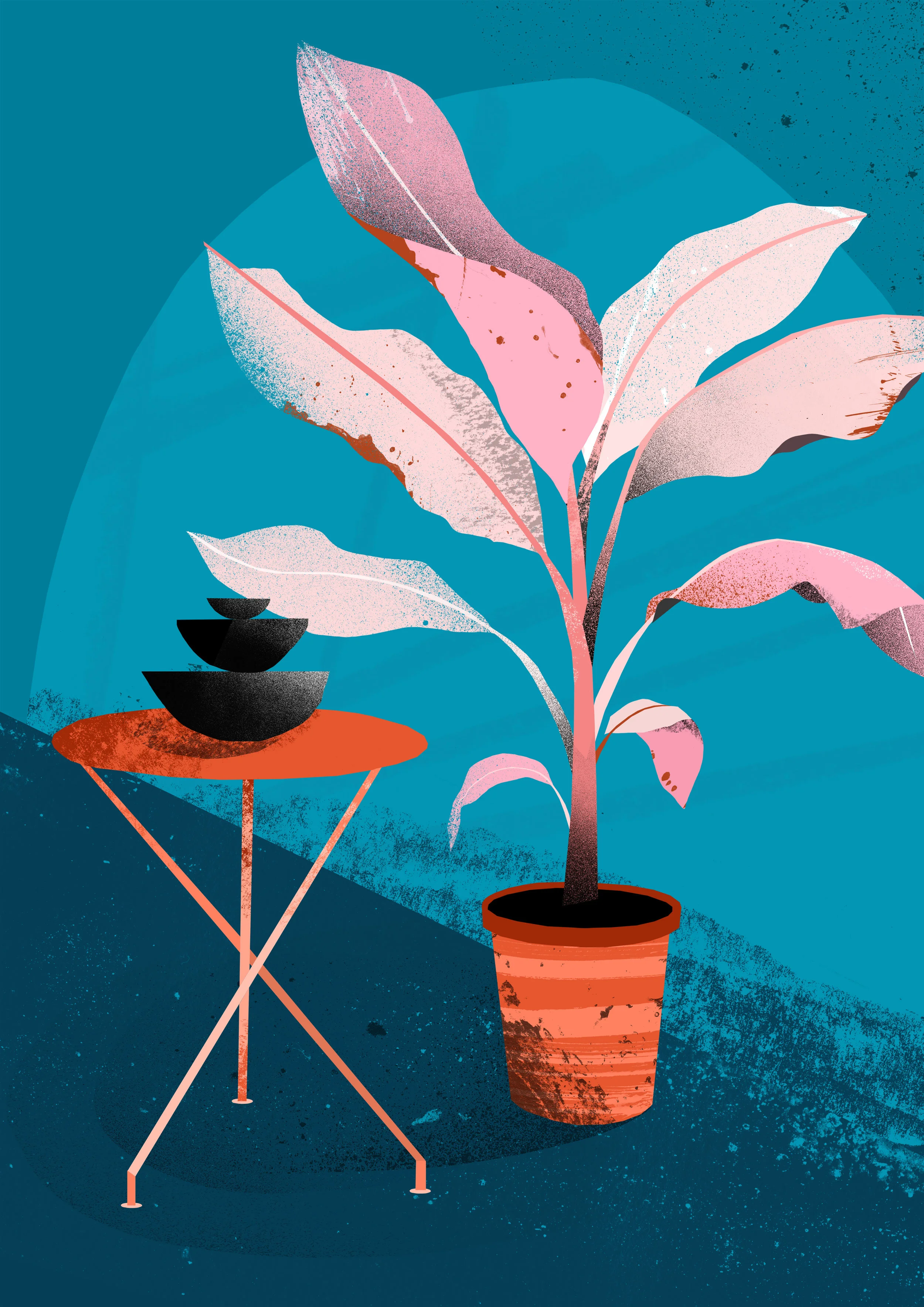 'Banana Plant'  Available to Licence