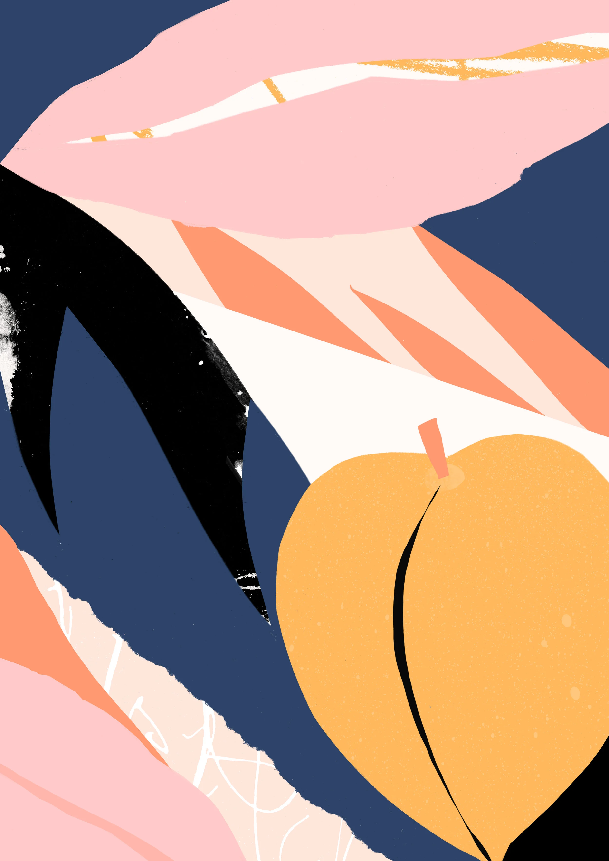 ‘Peach’  Available to Licence