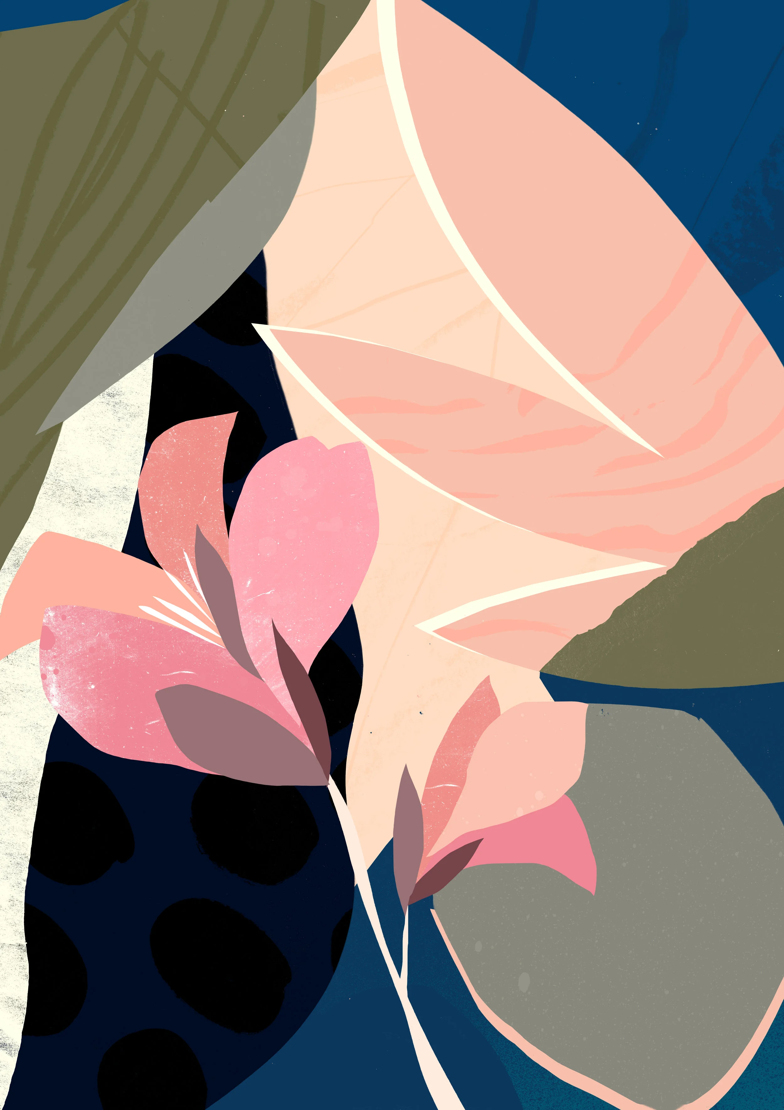 ‘Canna Lily’  Available to Licence