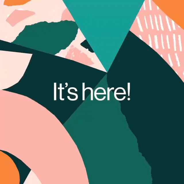 24983663_1422142661229049_6898952298448694115_n.gif