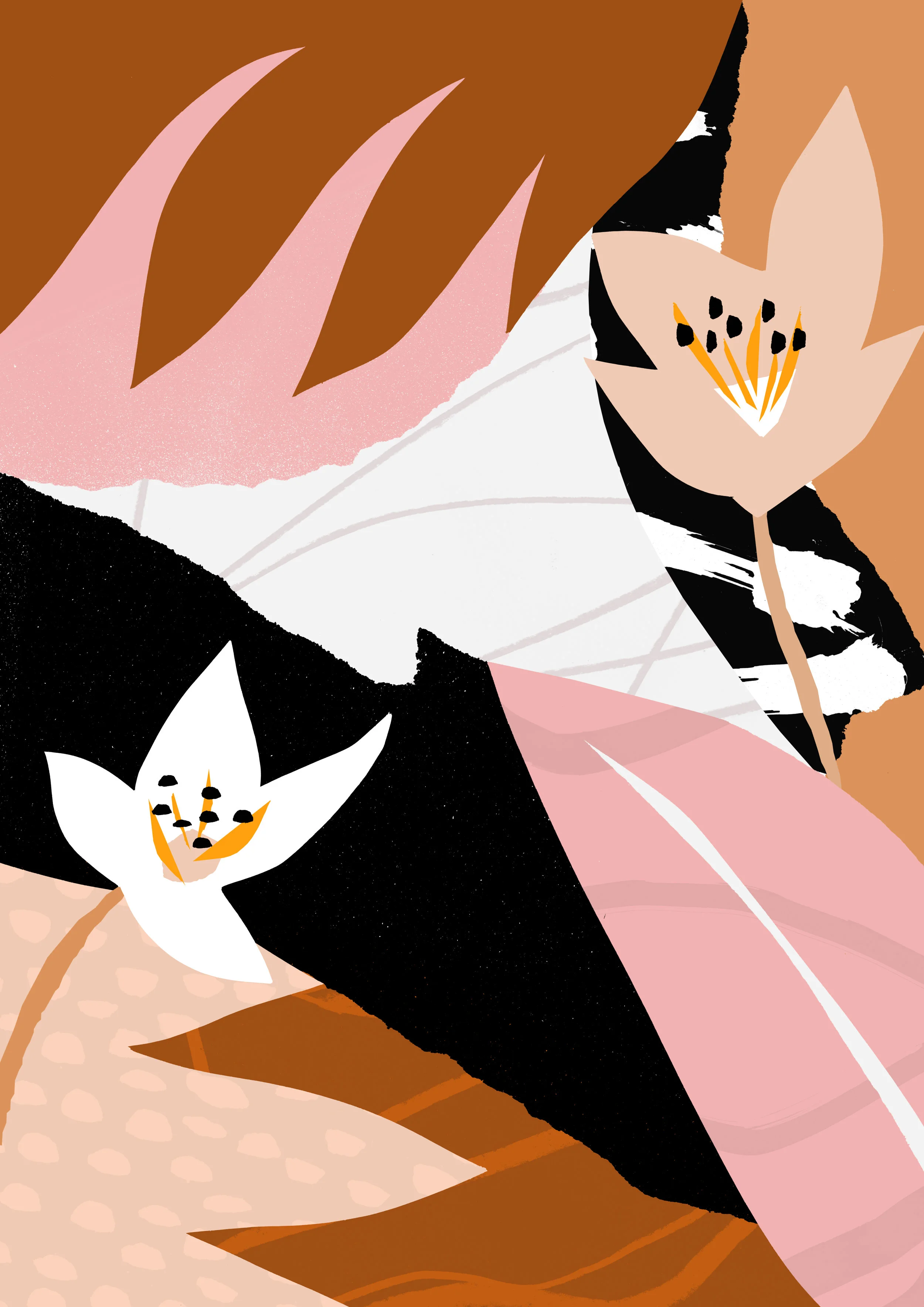 ‘Terracotta’  Available to Licence