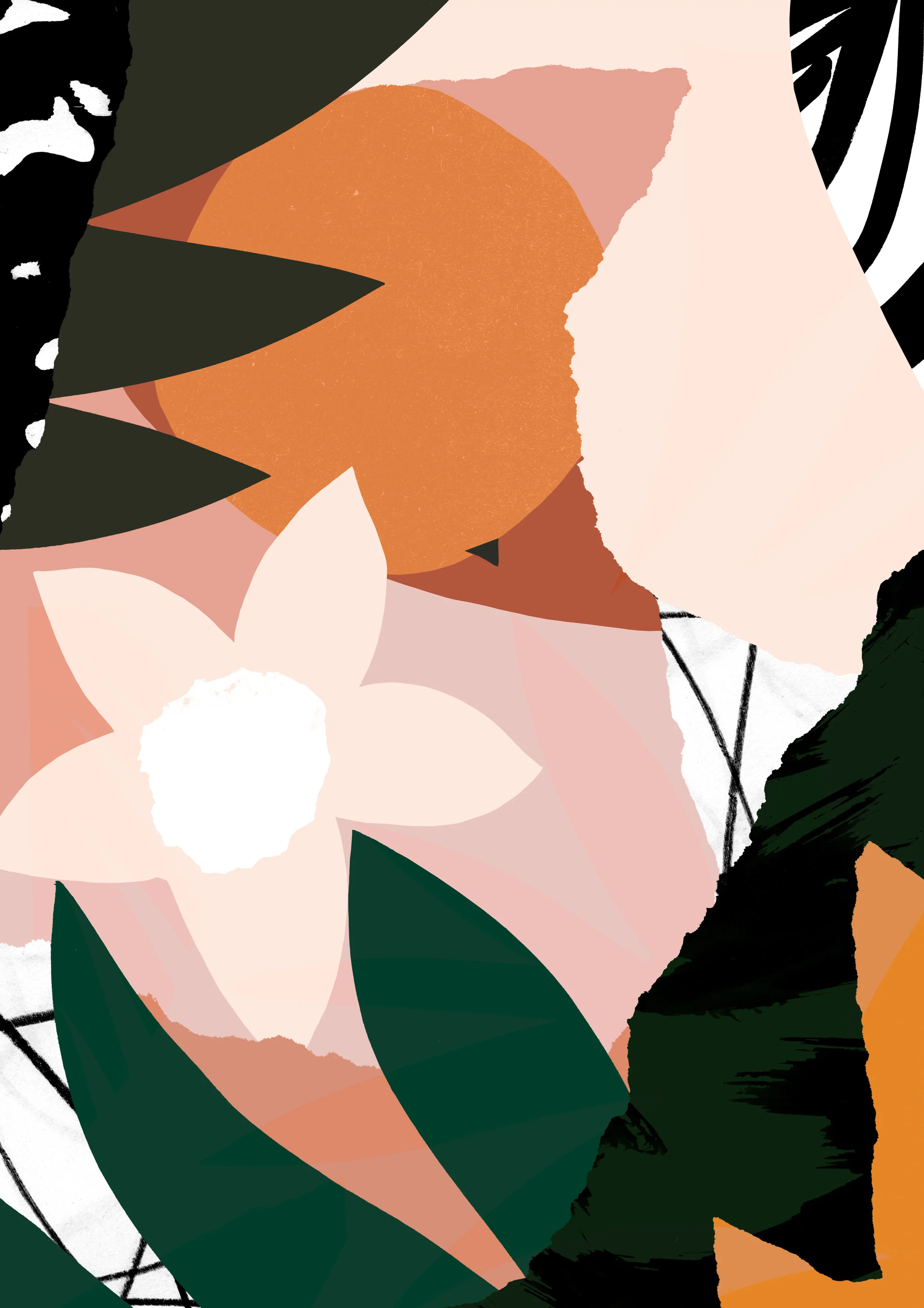 'Persimmon'  Available to Licence