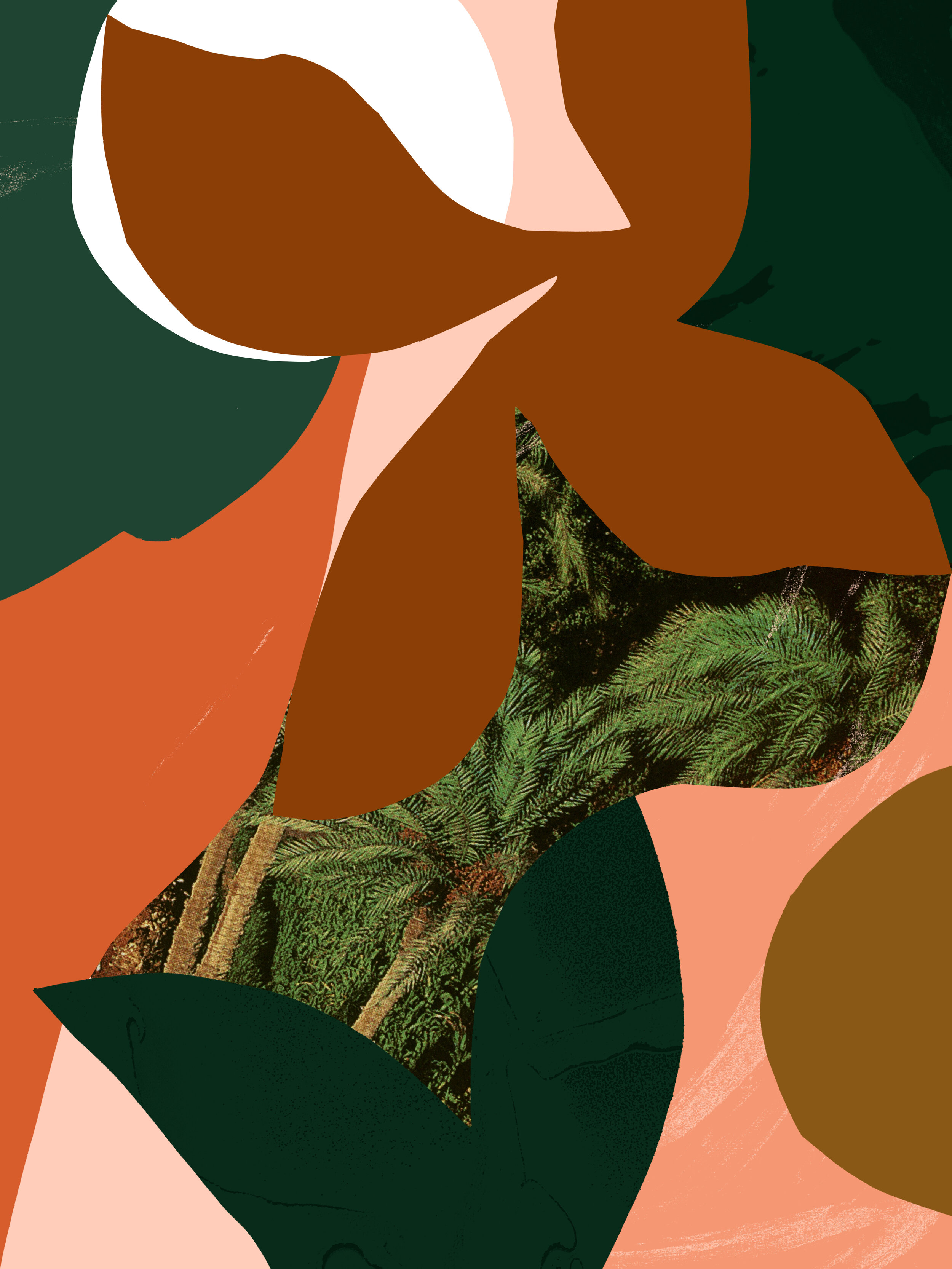 ‘Beginning’  Available to Licence