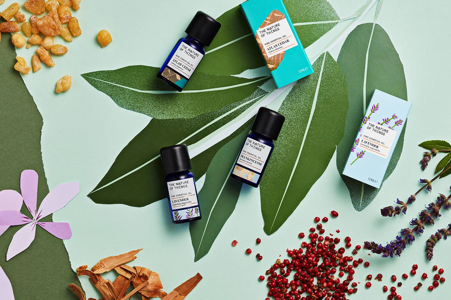 TNoT Case Study-15.jpg