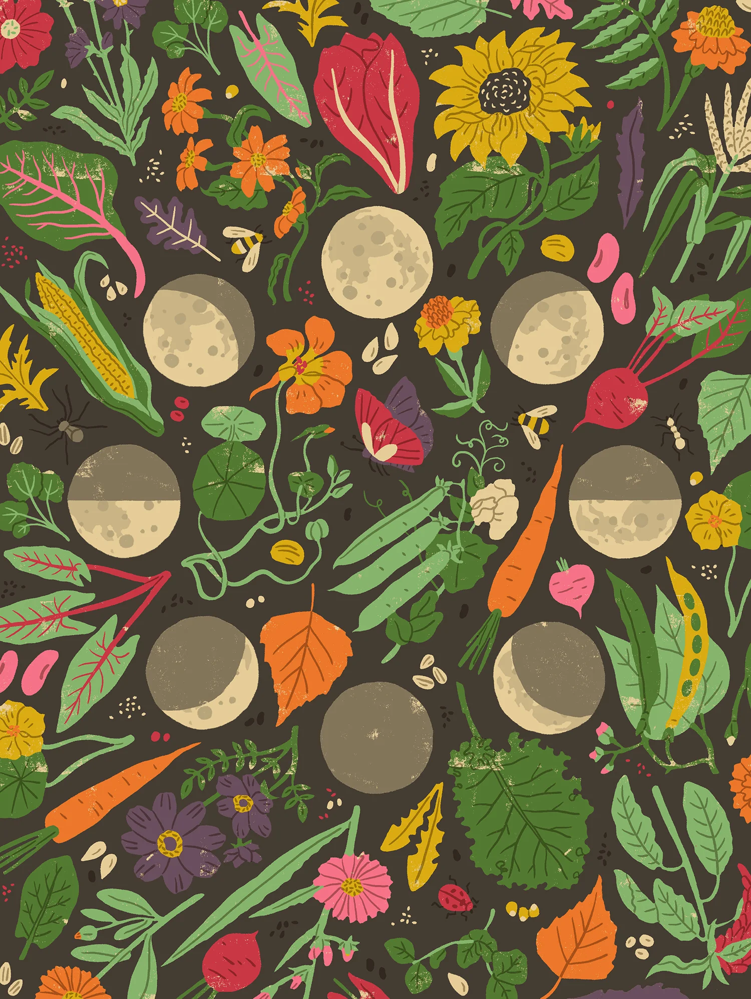 Harriet_Seed Gardens Illustrated Editorial.jpg