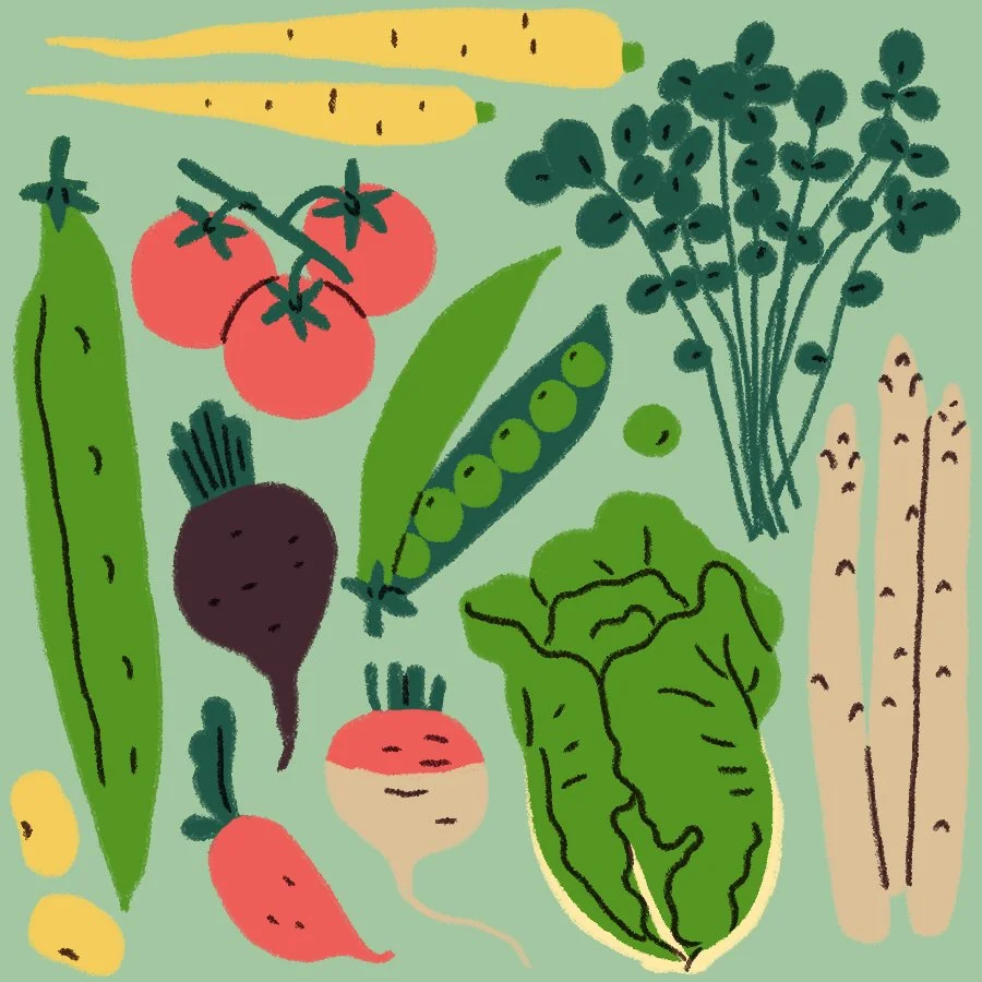 Harriet_Seed Tatler Asia Garden Salad Editorial.jpg