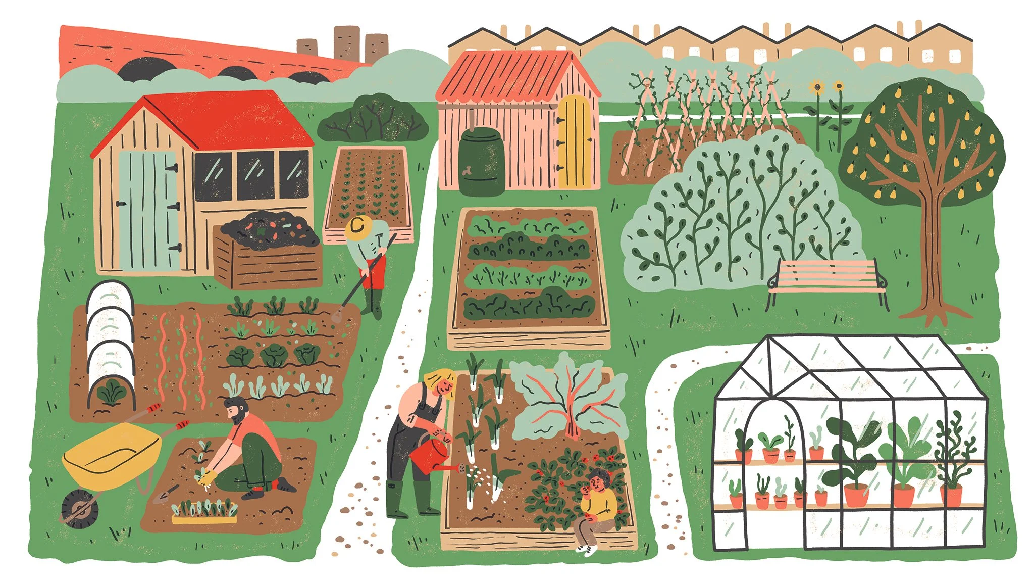 Harriet_Seed FT allotment editorial.jpg