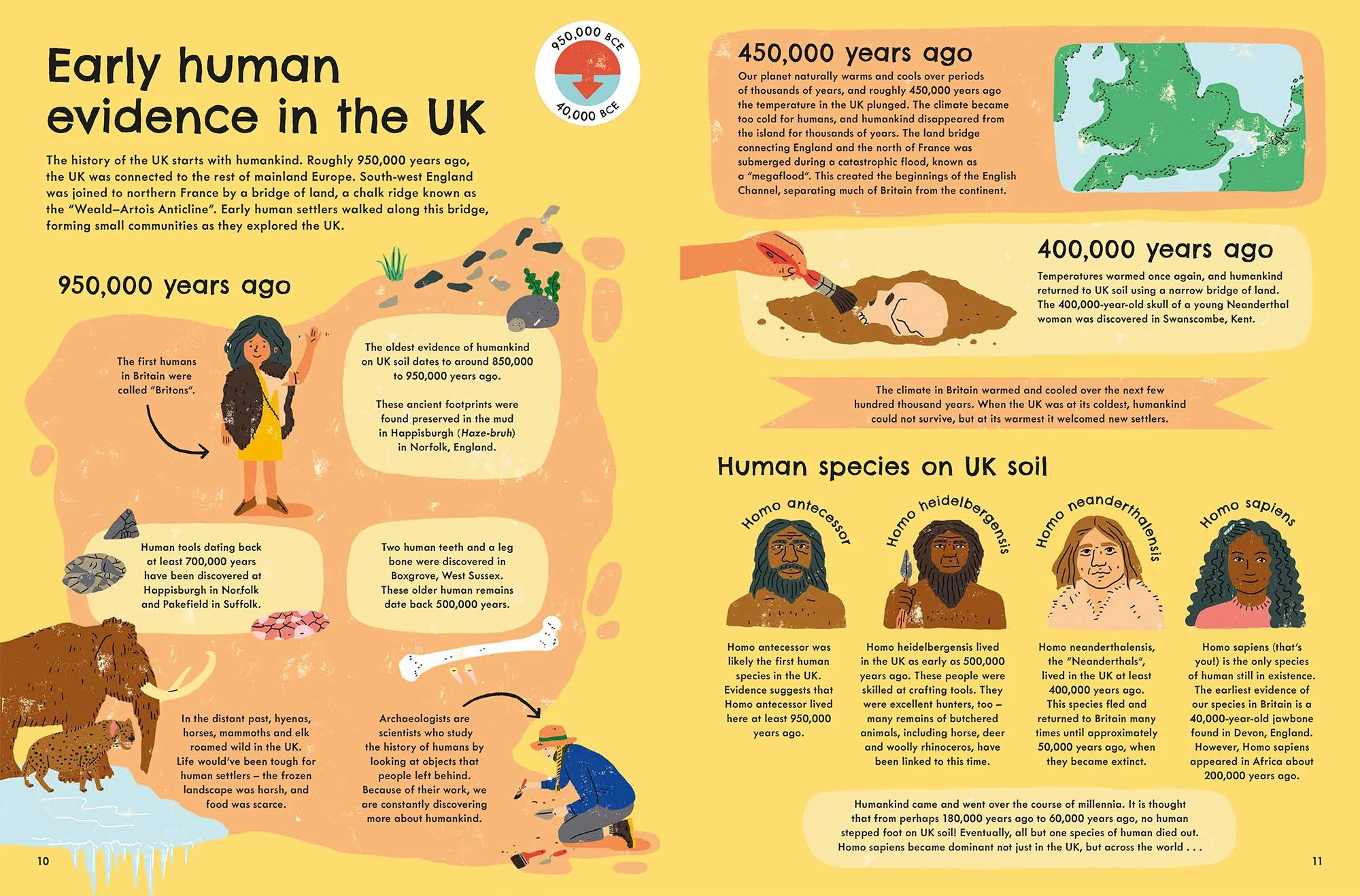 Harriet_Seed Ladybird BBUKH spread Early human.jpg