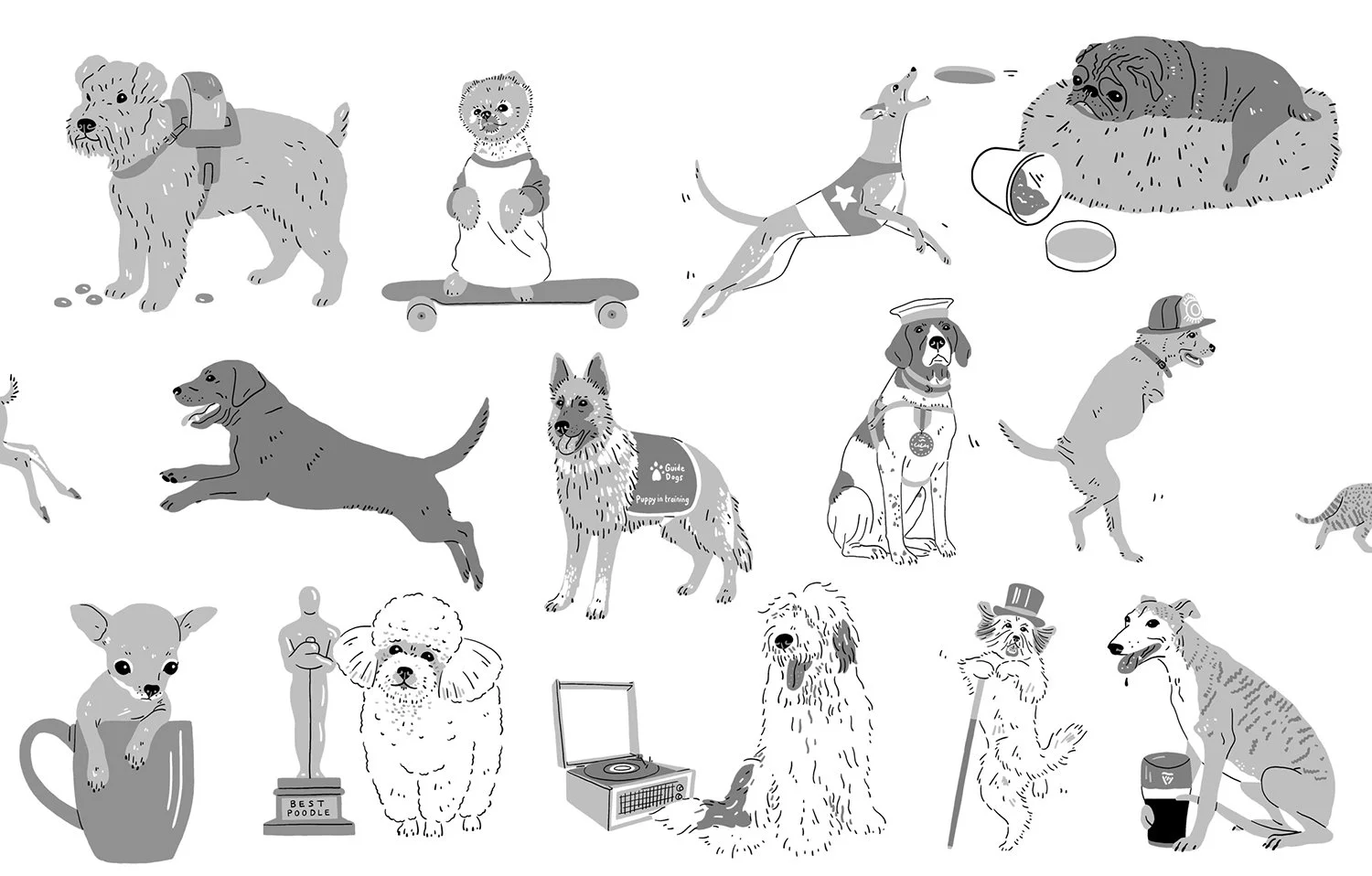Harriet_Seed 100 Greatest Dogs internal 2.jpg