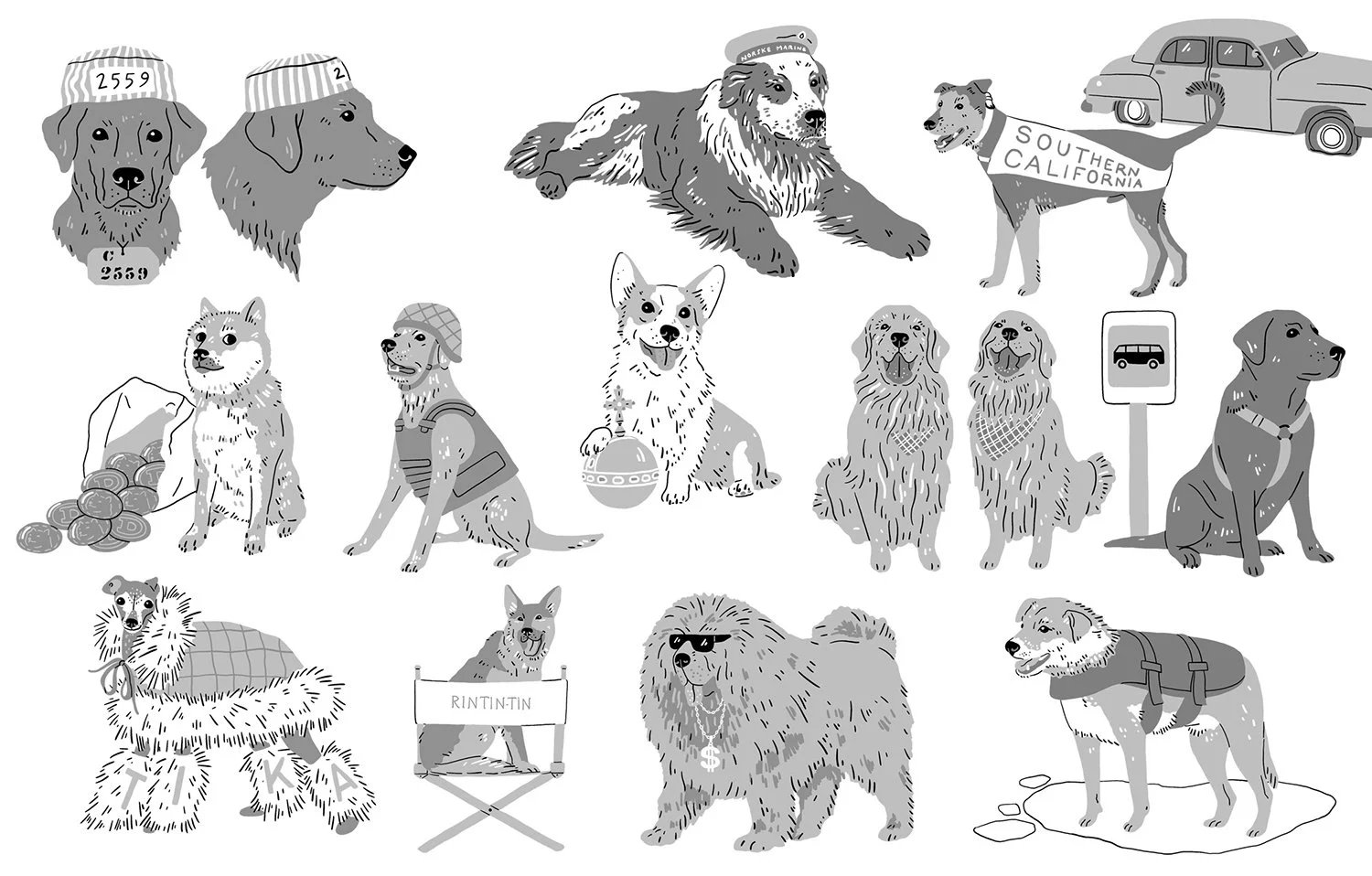 Harriet_Seed 100 Greatest Dogs Internal 3.jpg