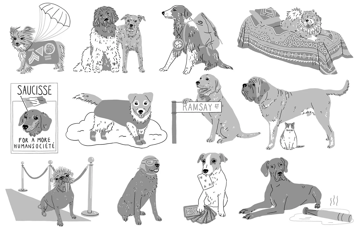 Harriet_Seed 100 Greatest Dogs Internal 4.jpg