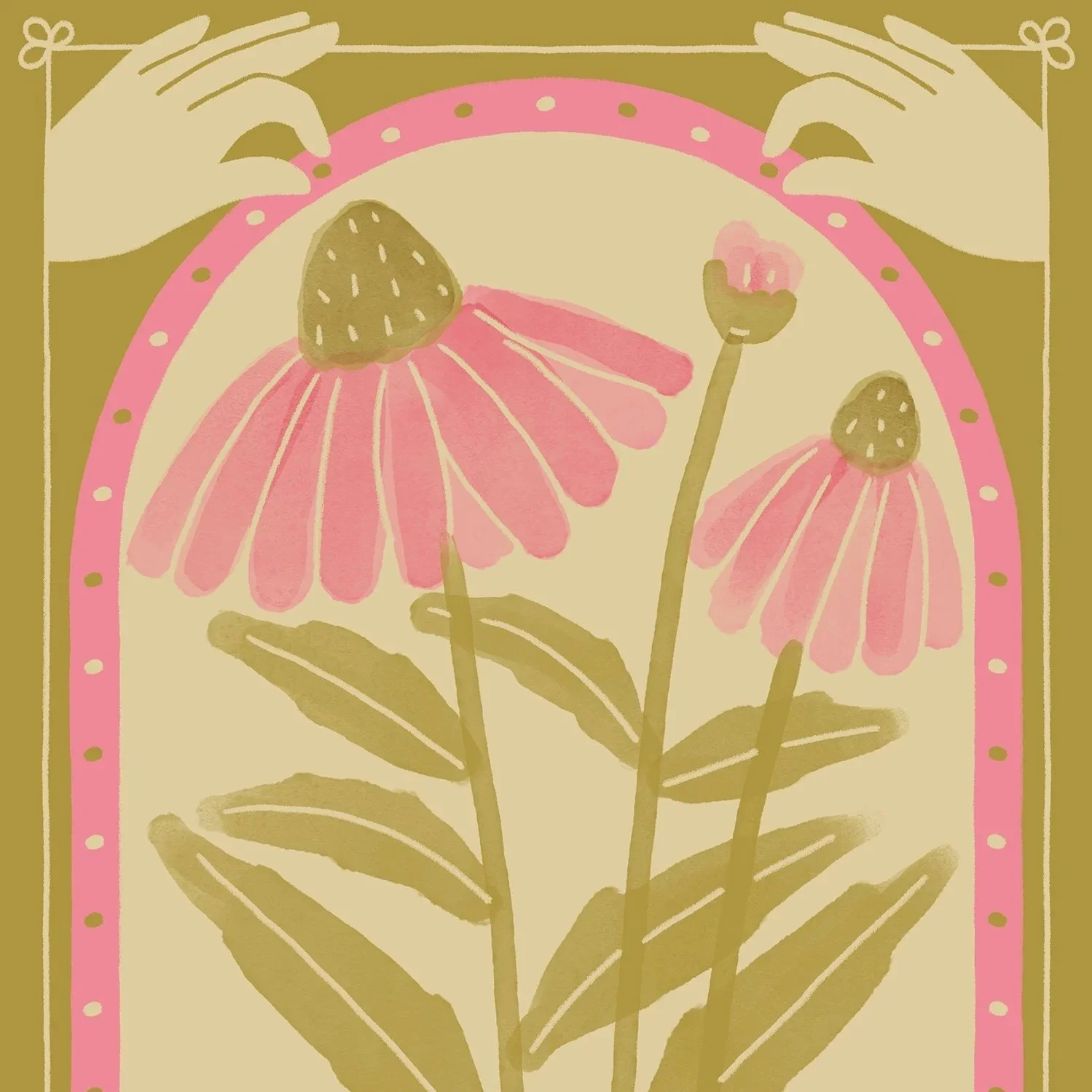 Echinacea.jpg