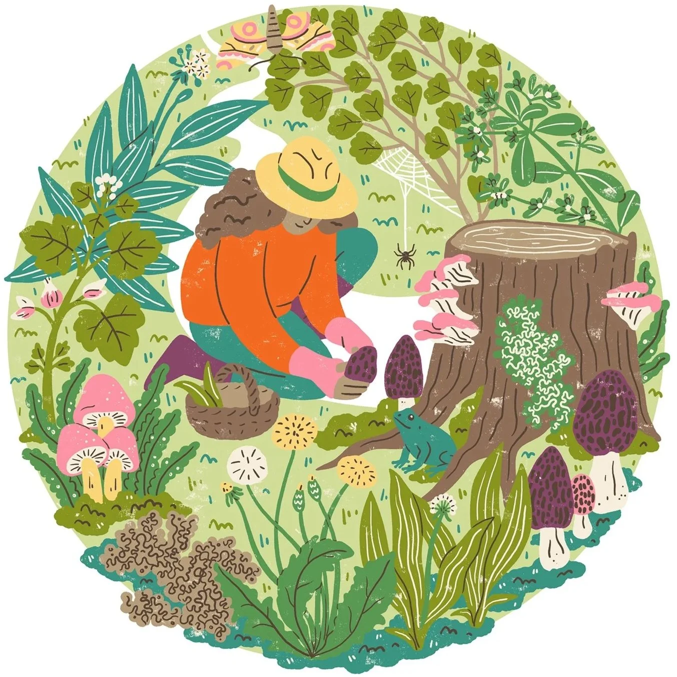 Harriet_Seed foraging CM.jpg