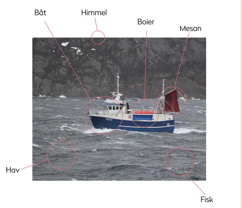 Bogaskjær_Båten.jpg
