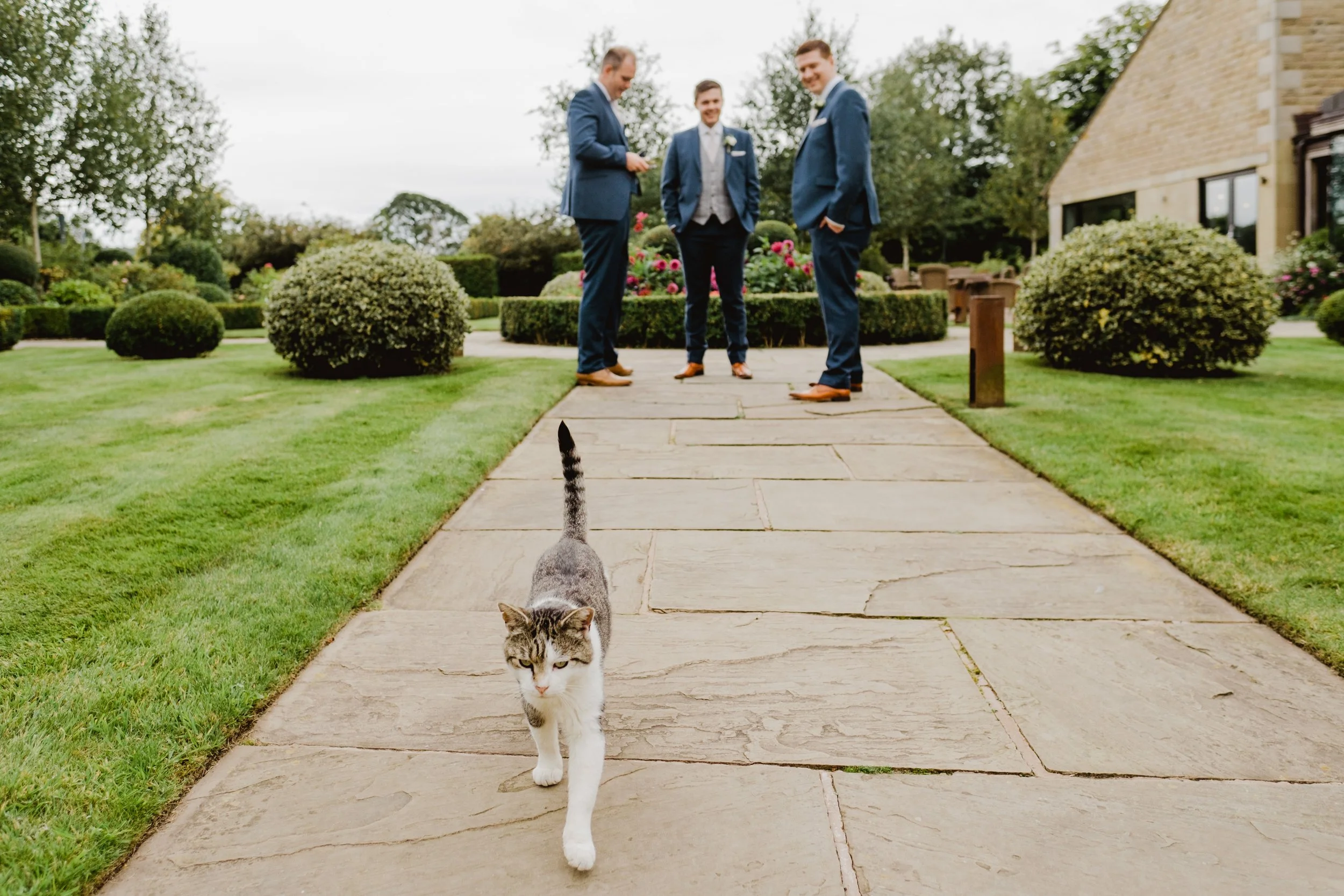 turnbullwedding52.JPG