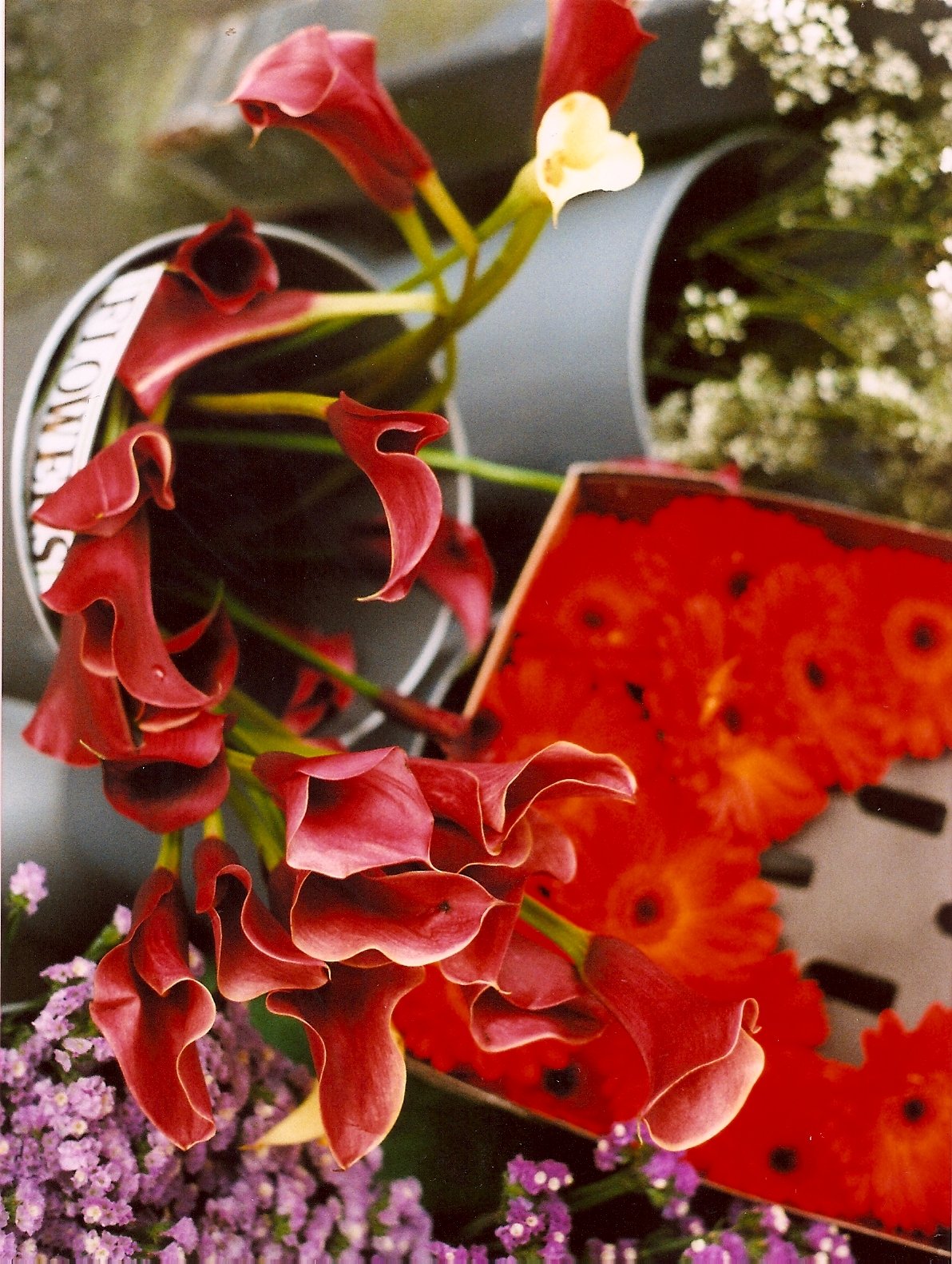 Vase with red and pink calla lilies and purple flowers, with a red slice of watermelon in the background.