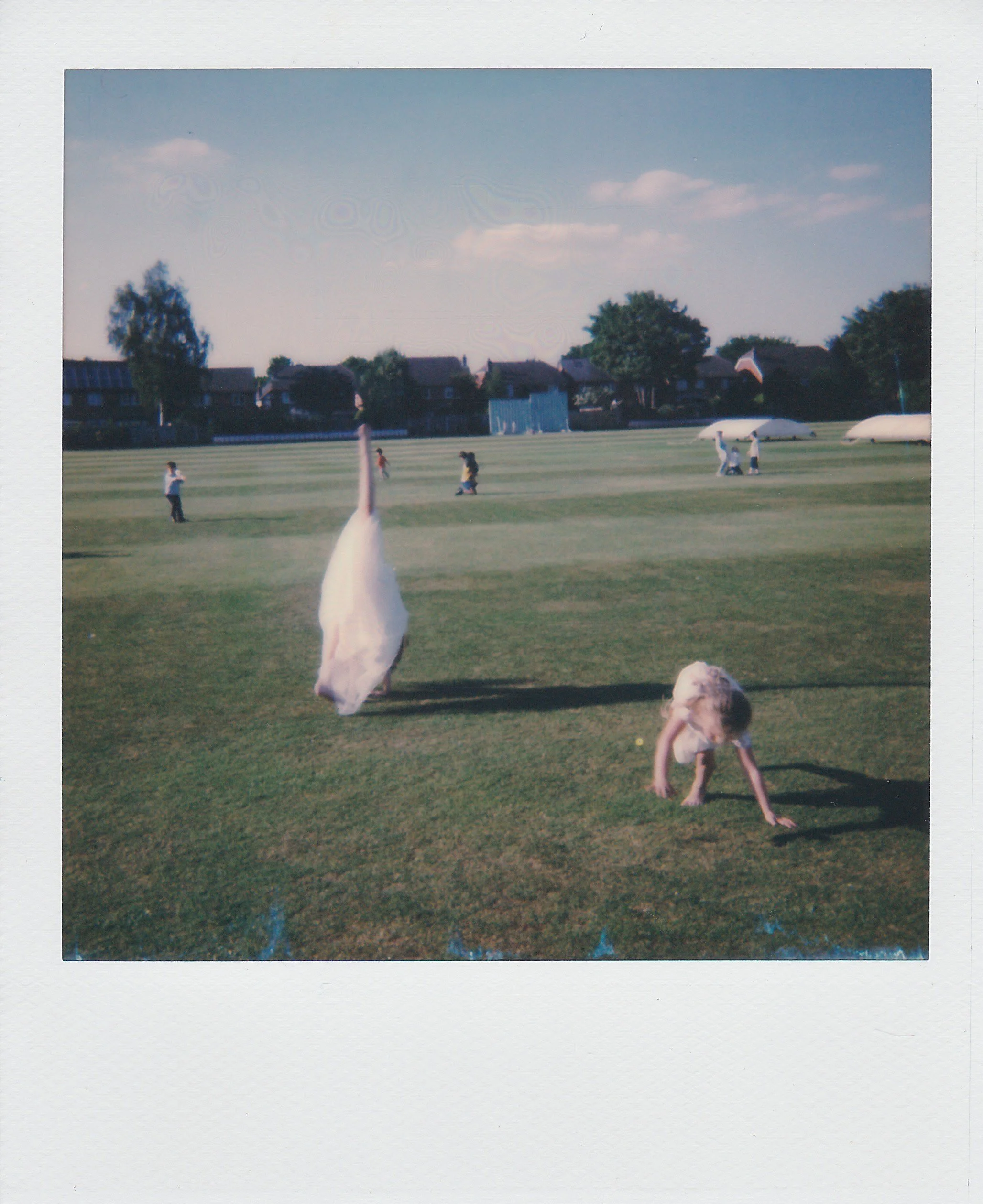A young girl on her hands and knees on a grassy field with a large white swan standing nearby, and several other swans and people in the background under a partly cloudy sky.