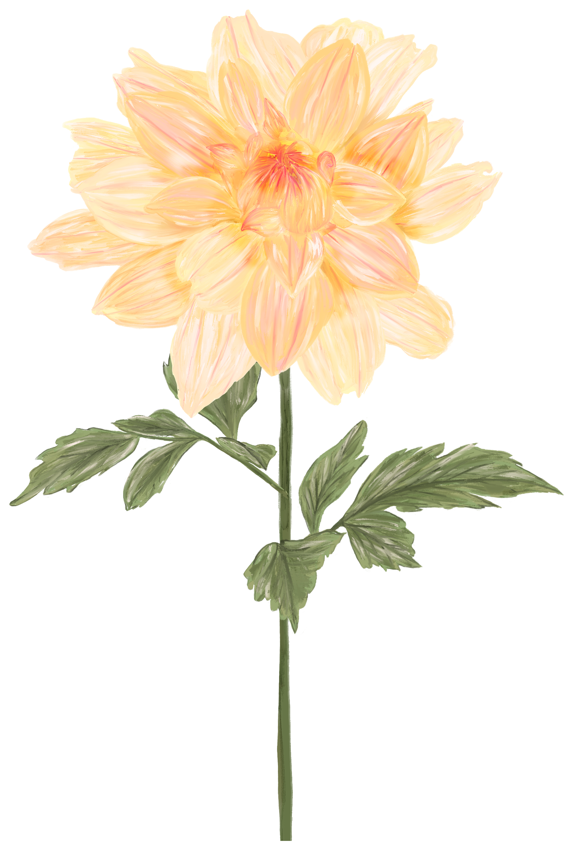 A large, peach-colored dahlia flower with layered petals and green leaves on a stem.