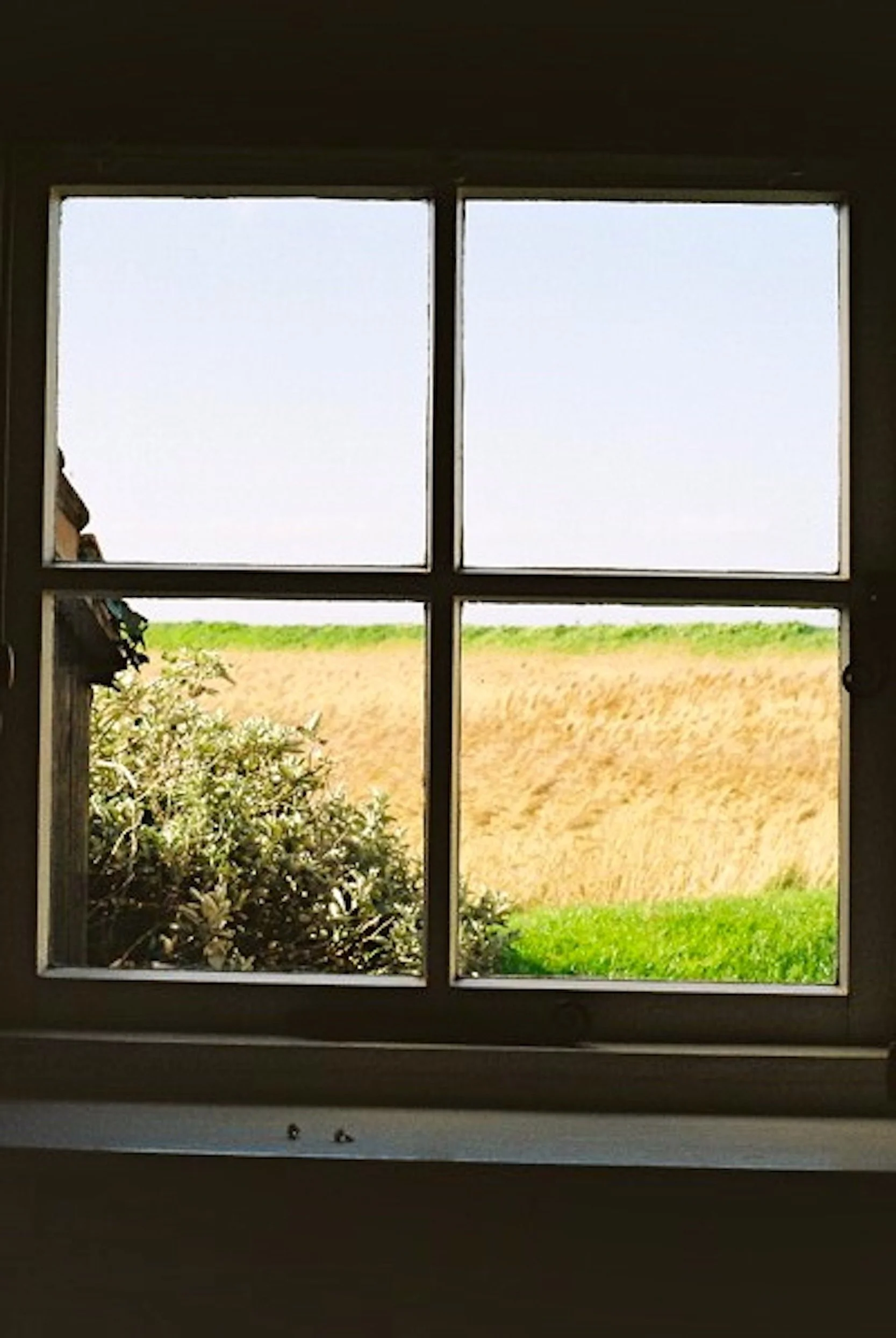 View through a four-pane window showing a green grassy field and a dirt or wheat field outside.