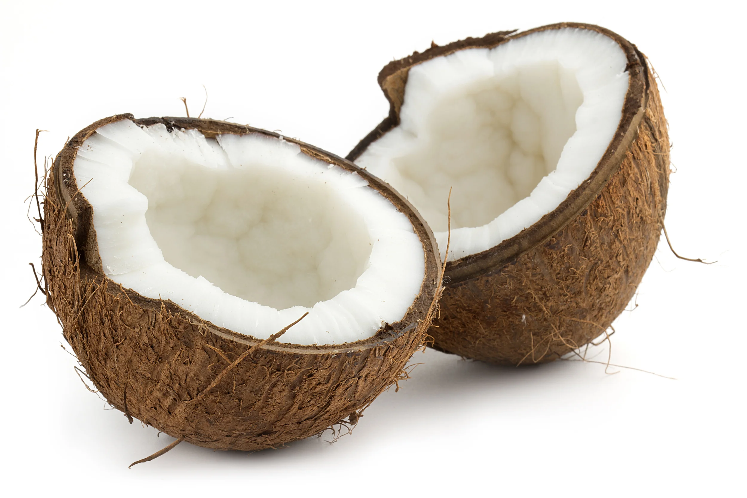 coconuts.jpeg