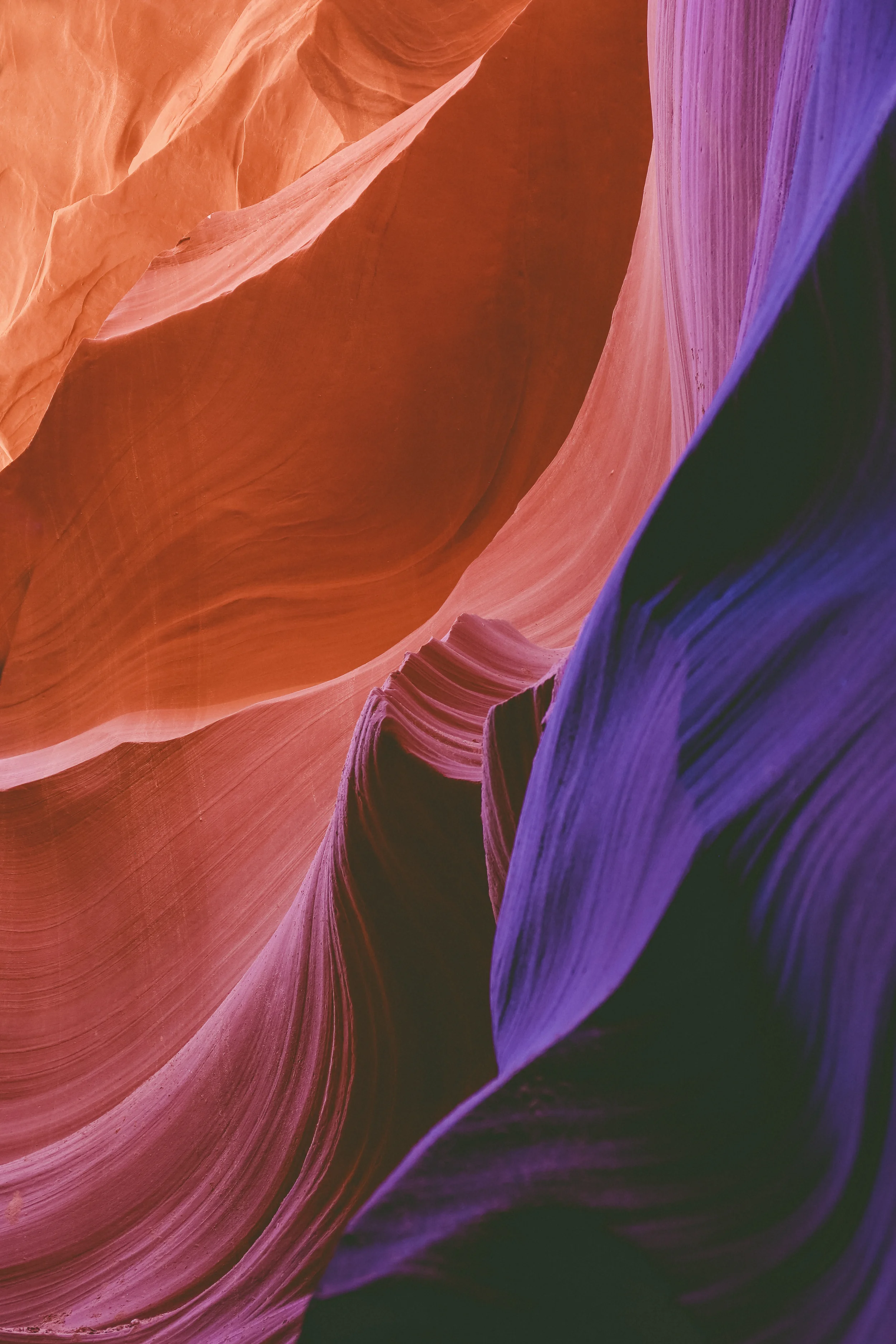 Arizona