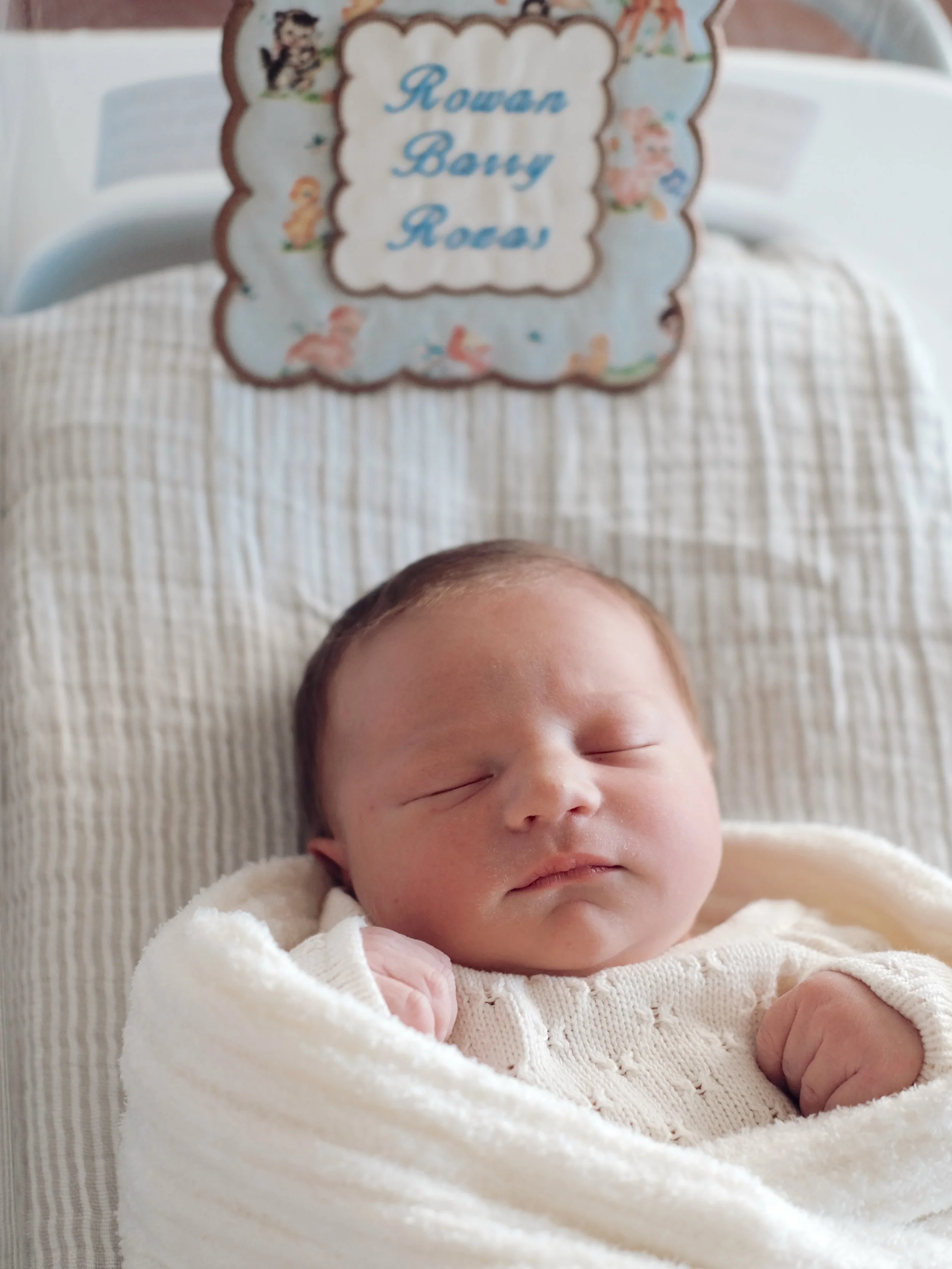 Our little love has arrived 🩵 he is perfect and safe to say we are obsessed 
Rowan Barry Rozas
Oct 22nd
8lbs 3 oz