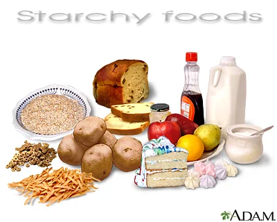 Burn fat by avoiding the typical American diet which is high in starchy foods. Starchy foods have high Glycemic indexes and are converted to fat when over-consumed. Photo Credit: https://www.nlm.nih.gov/medlineplus/ency/imagepages/19824.htm