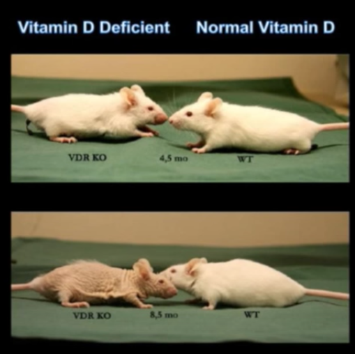 Houston, We Have a Hormone Problem! 