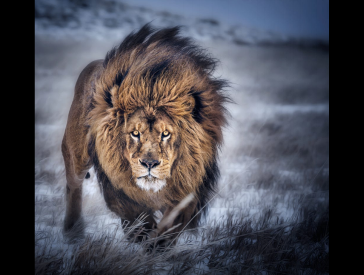 Photo Credit: Paul Keates