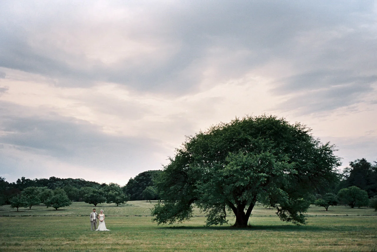 Morton Arboretum