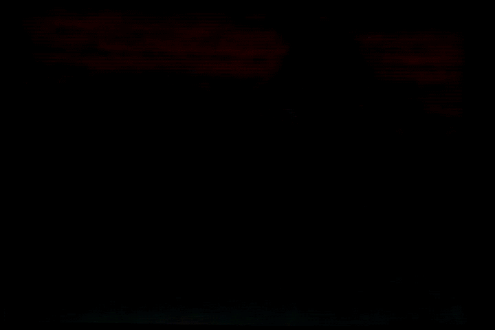 Stinger_1.gif
