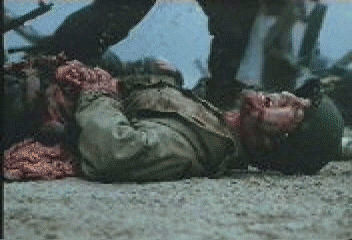 Stinger_color_2.gif