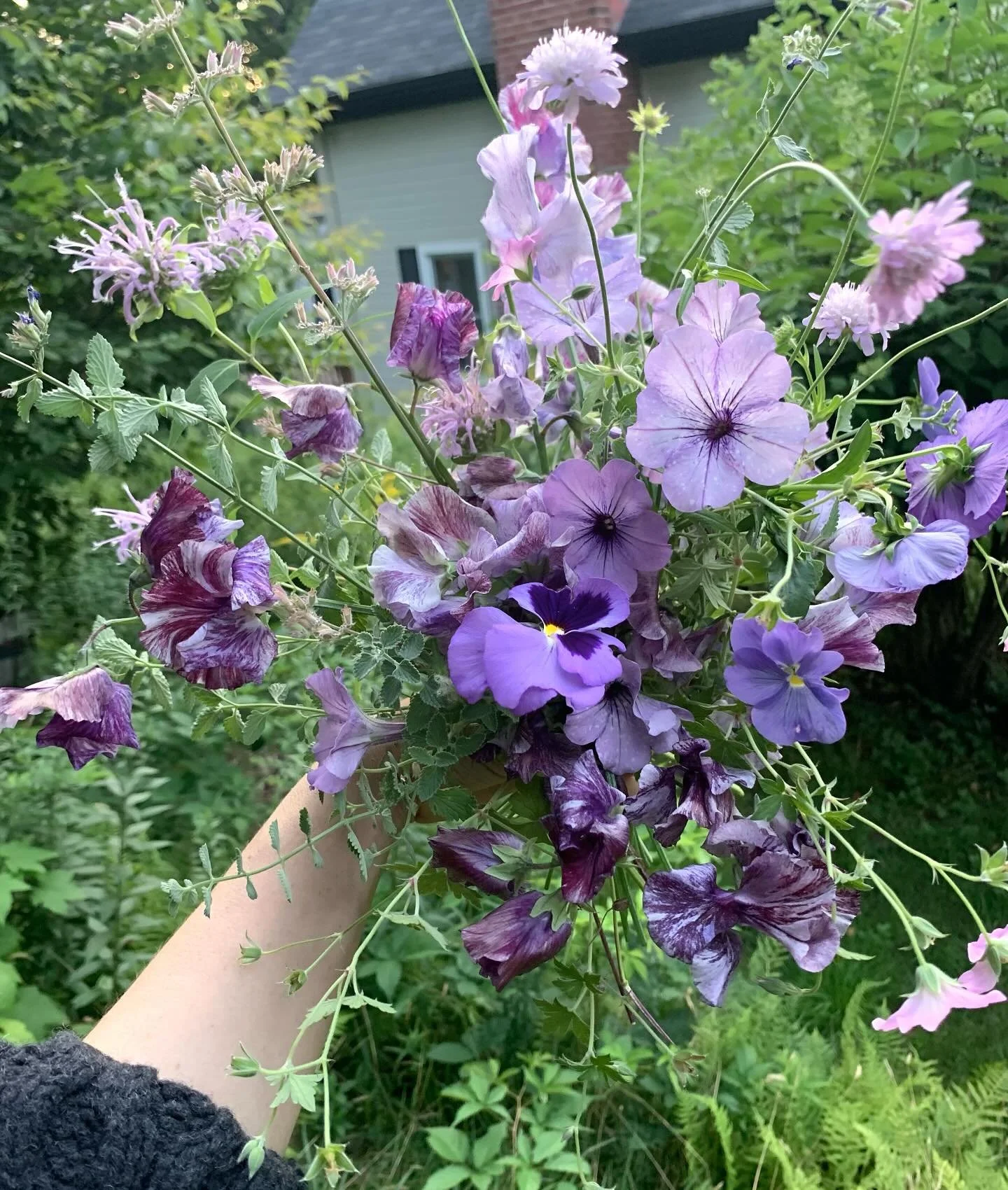 Les pois de @ferme.florale.l.escampette et les fleurs de mon jardin 💜