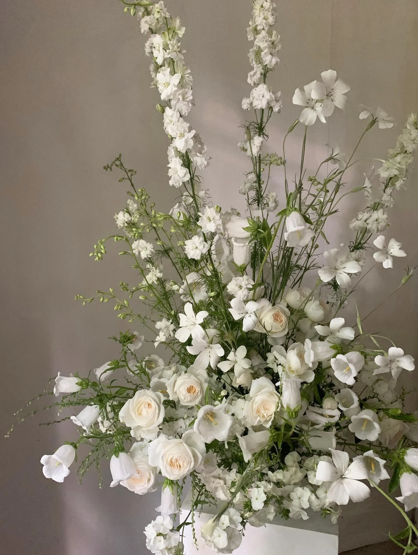 &Eacute;t&eacute; 2025
Fleurs locales