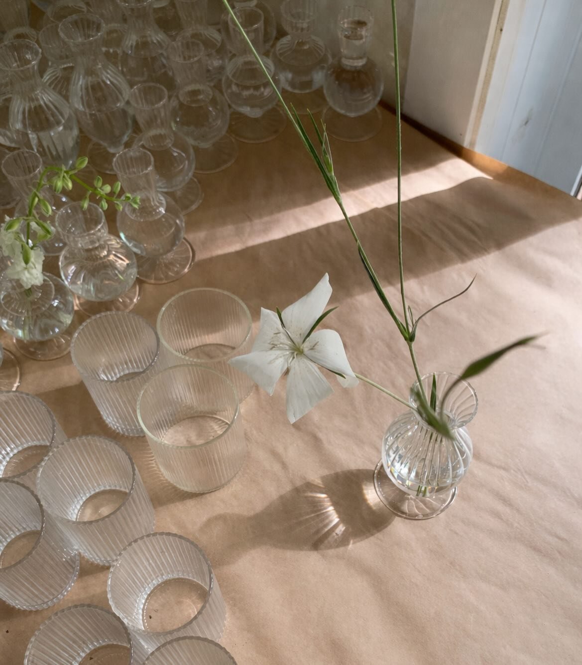 Nielle
&Eacute;t&eacute; 2025