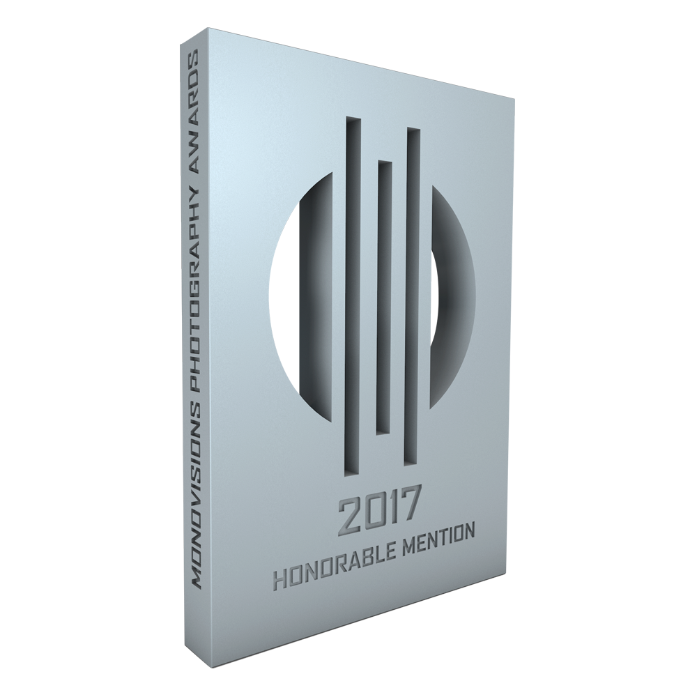 monovisions_awards_2017_hm_vlad_maltsev.png