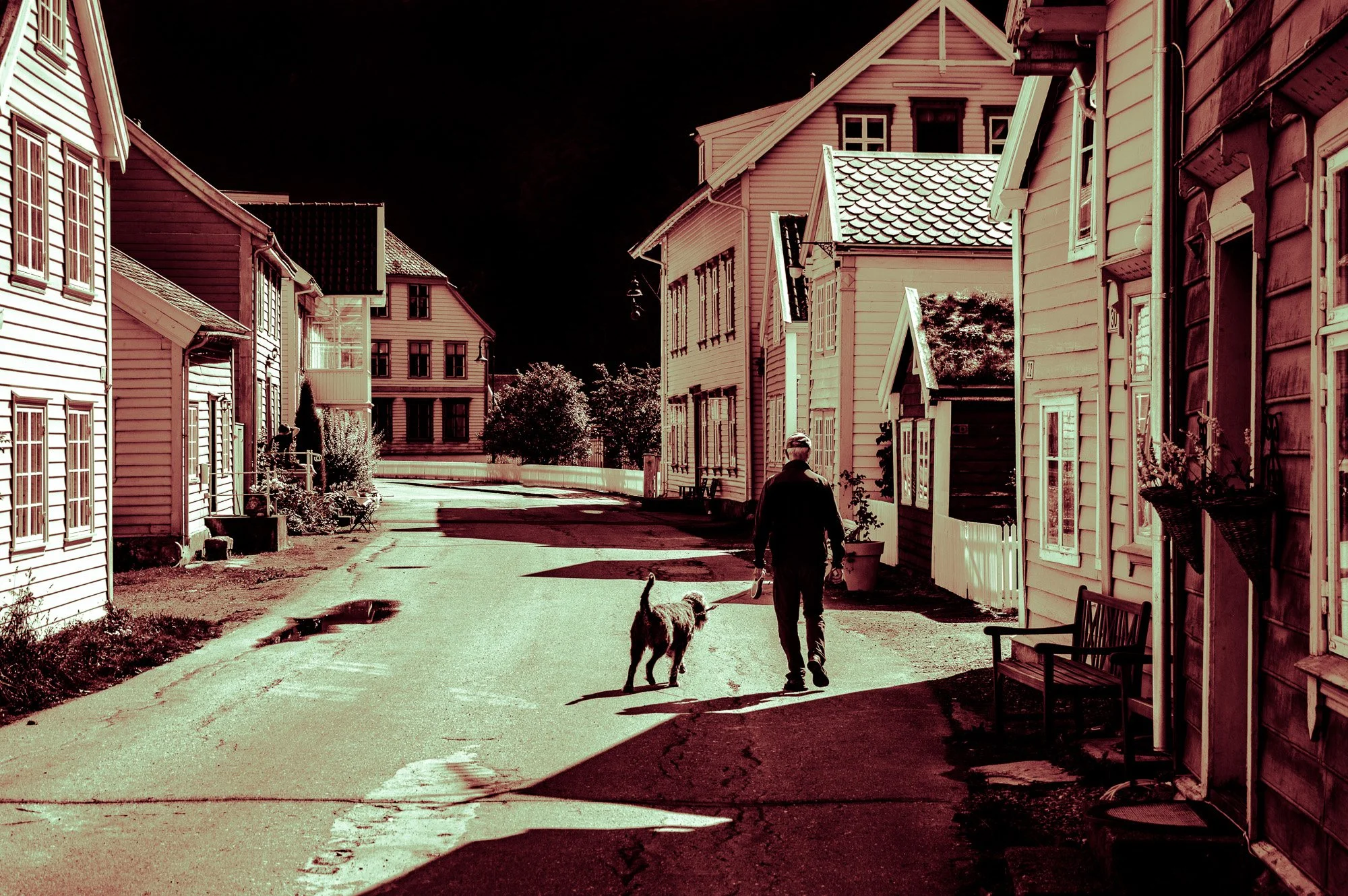 IMGP0966-Edit.jpg