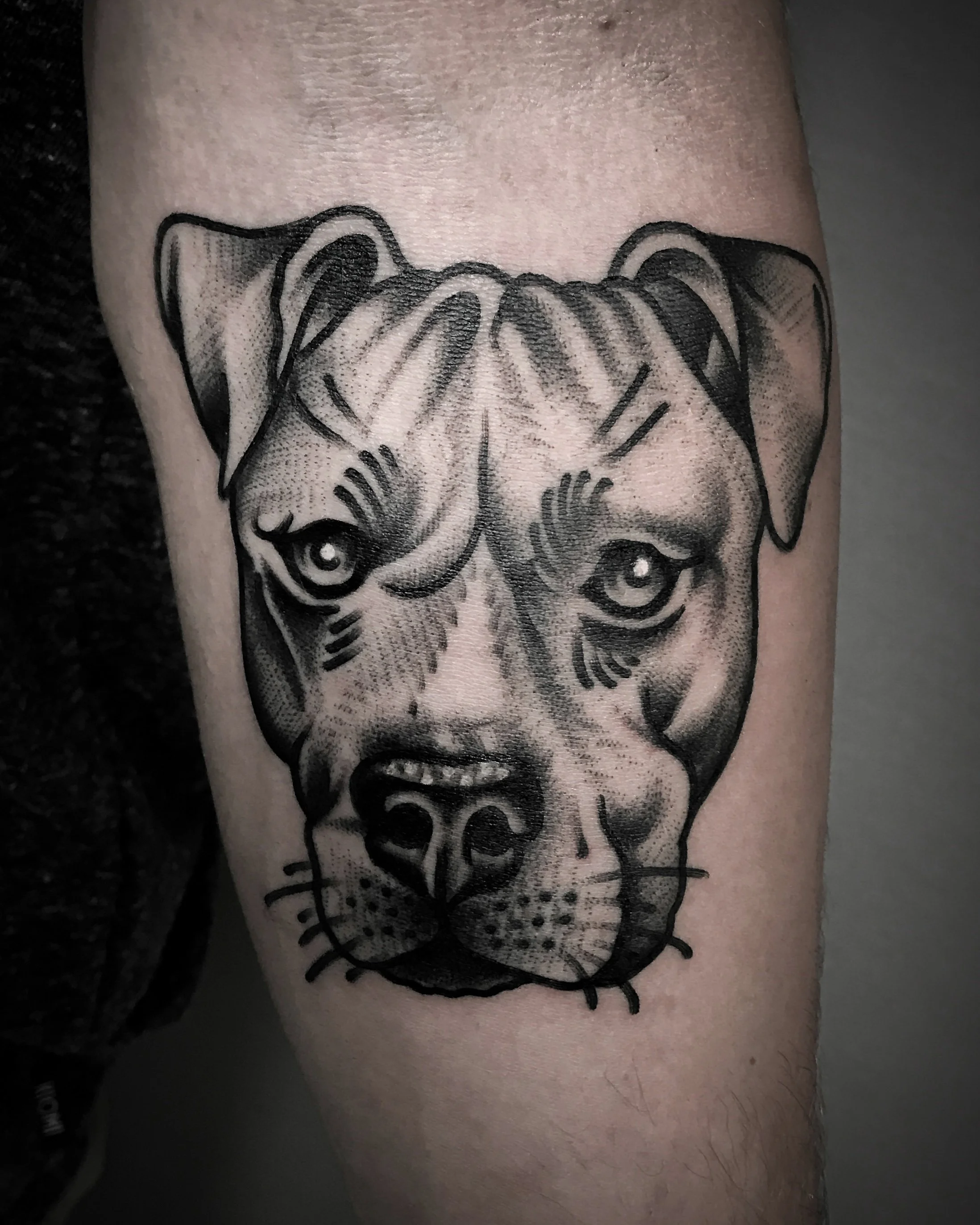 christian-otto-traditional-black-and-grey-dog-tattoo-los-angeles.JPG
