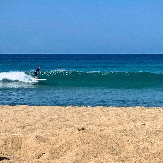 Found a left here! 🌴🌊🙏🏻🏄🏼&zwj;♀️🇵🇷