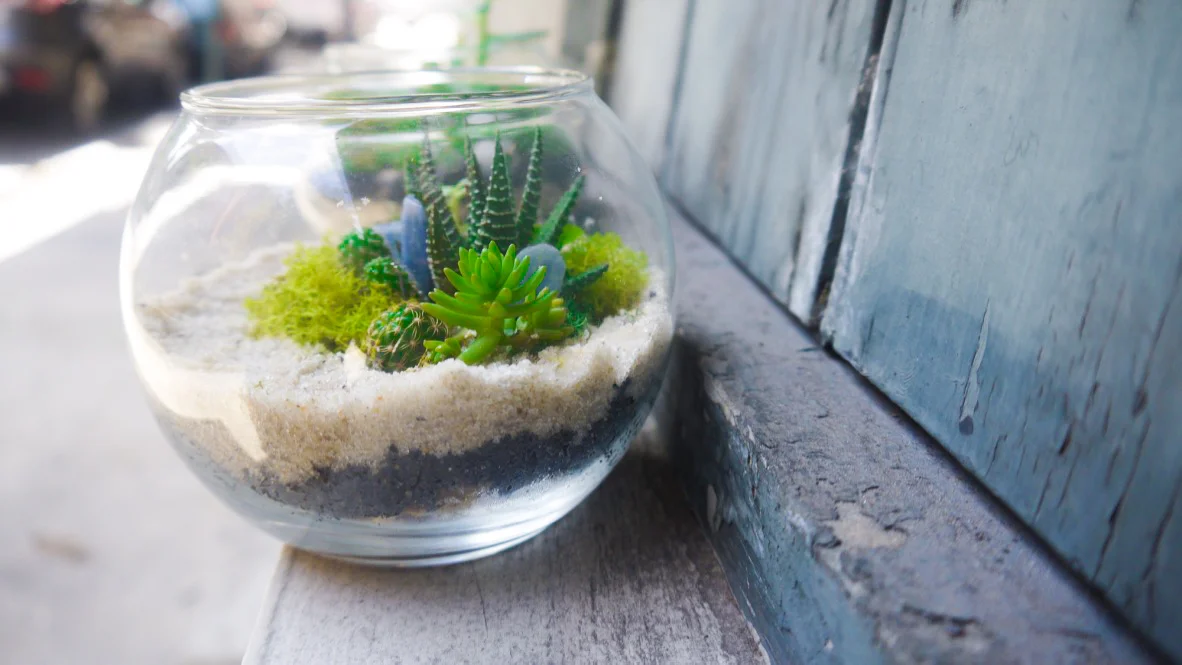 Succulent + Crystal Terrarium FQ-8.jpg