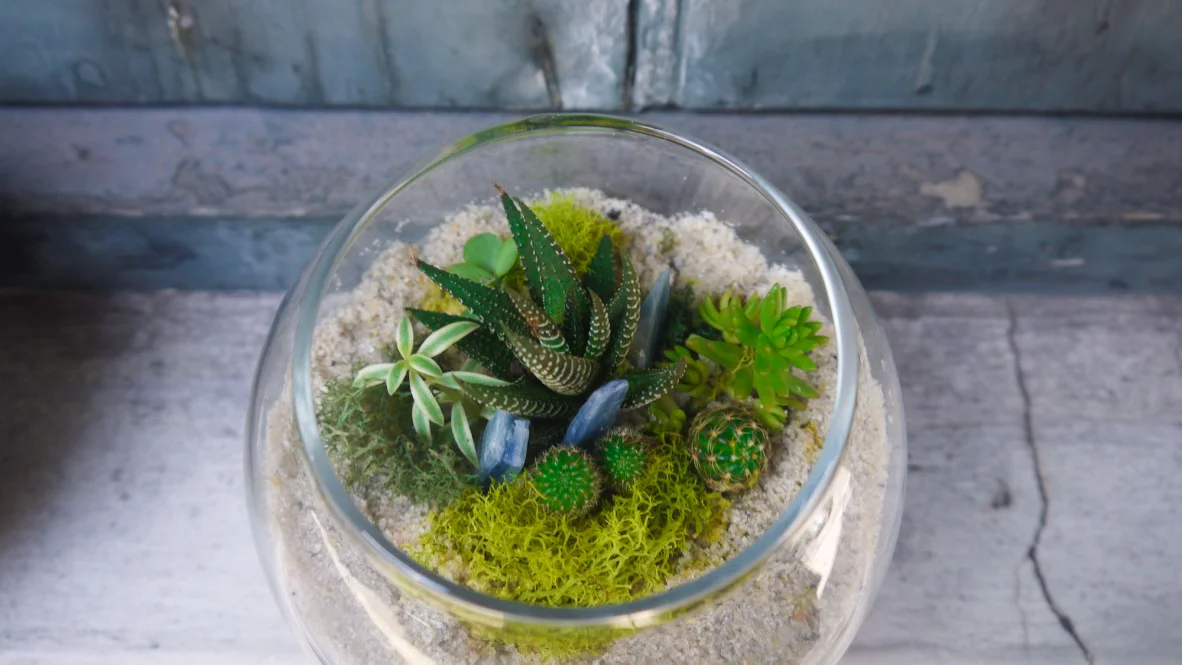 Succulent + Crystal Terrarium FQ-11.jpg